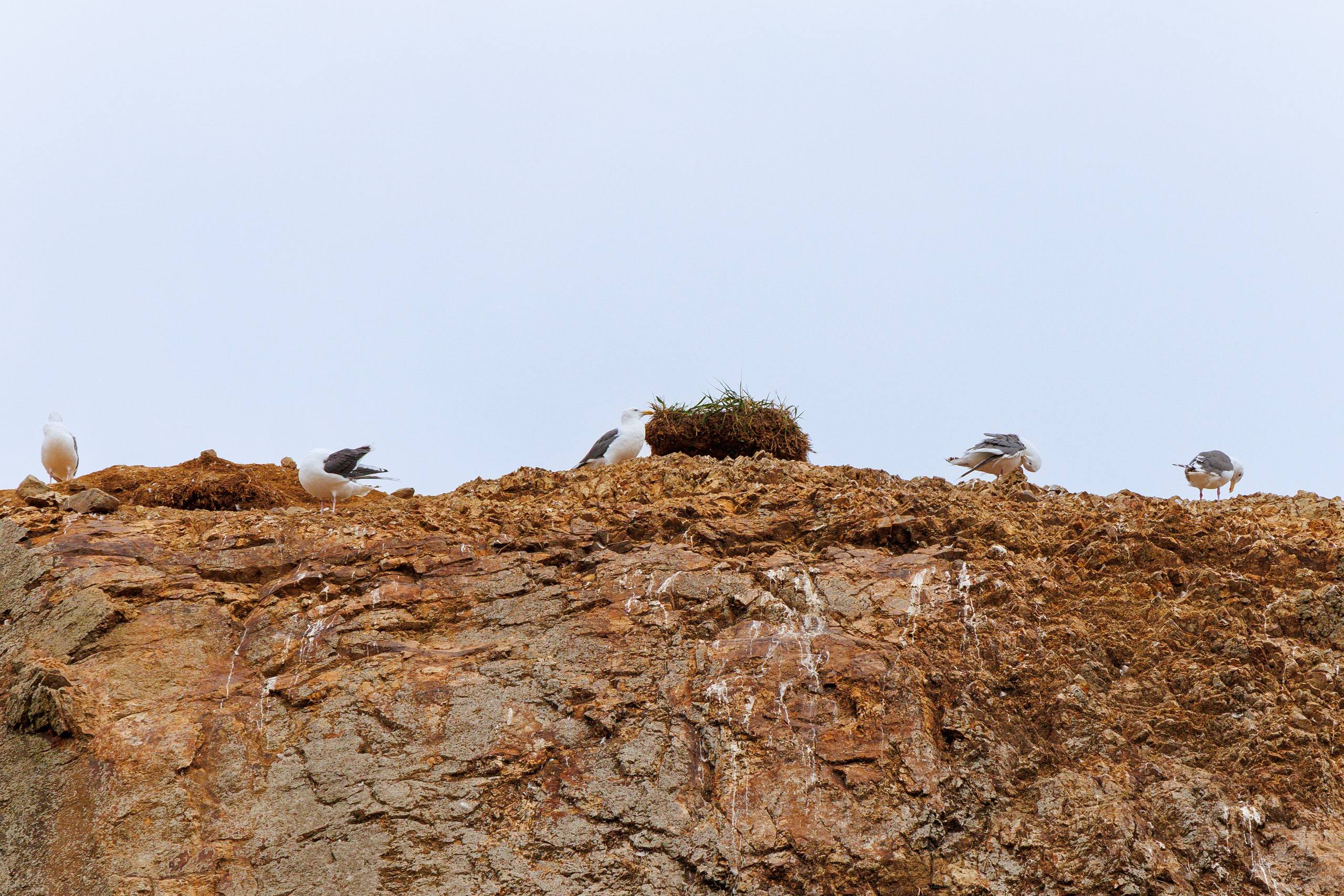 Мыс Великан. Свадебный, семейный и репортажный фотограф в Южно-Сахалинске Артур Петросян