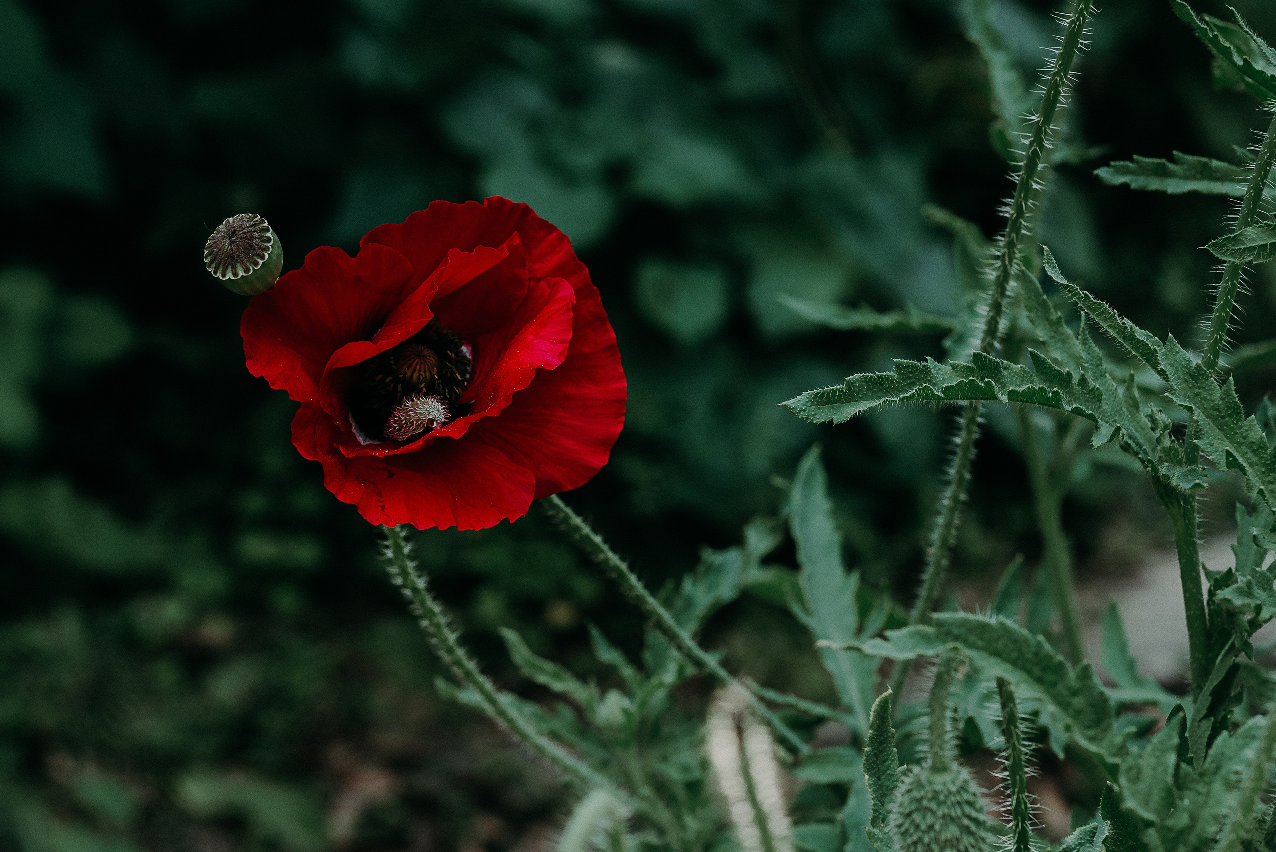 Рекламный фотограф из Гуанчжоу: путешествие по Уханю через объектив камеры. Коммерческий и предметный фотограф в Гуанчжоу Коваленко Александр