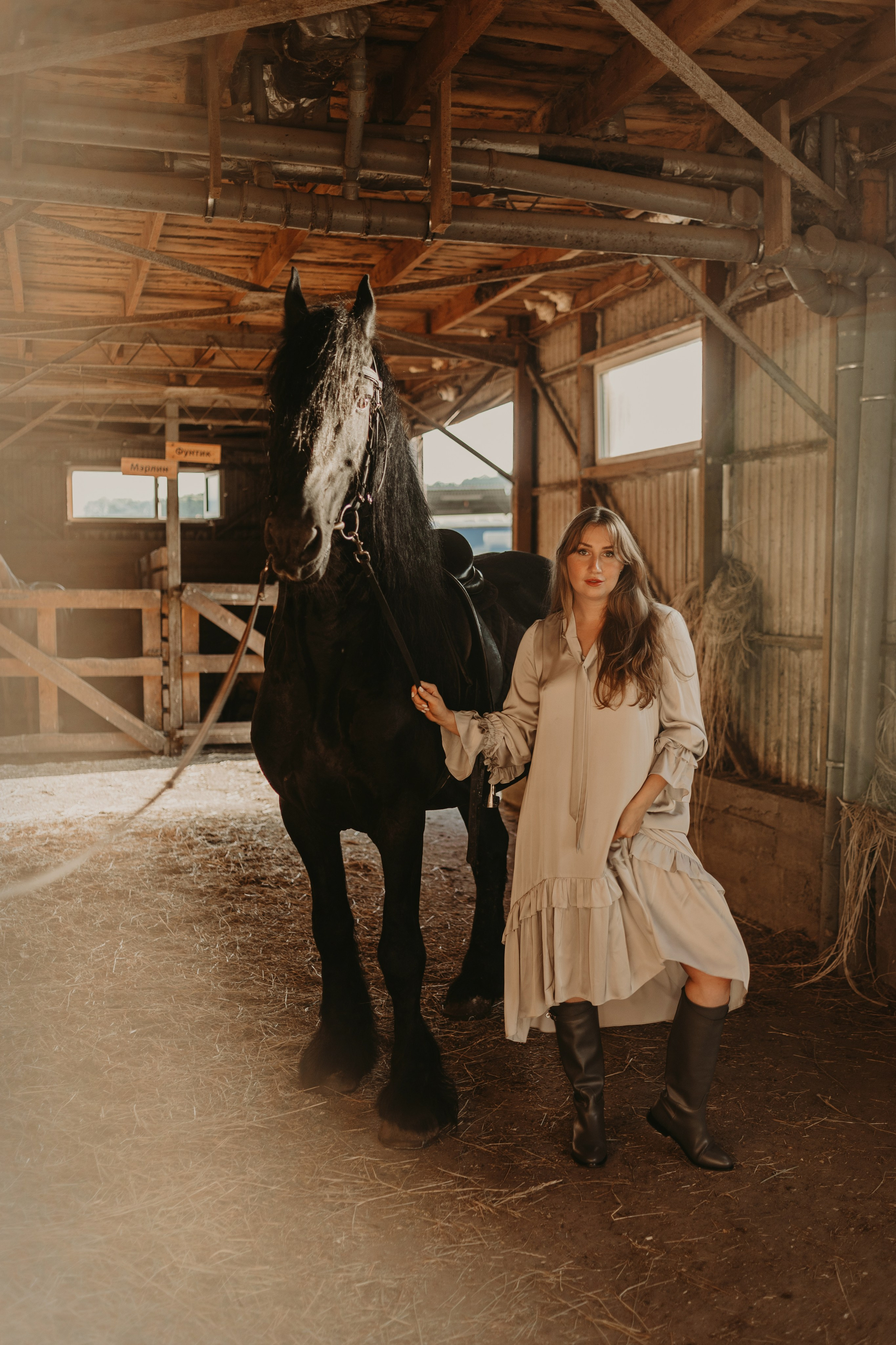 На коне. Фотограф в Краснодаре Евгения Михаевич