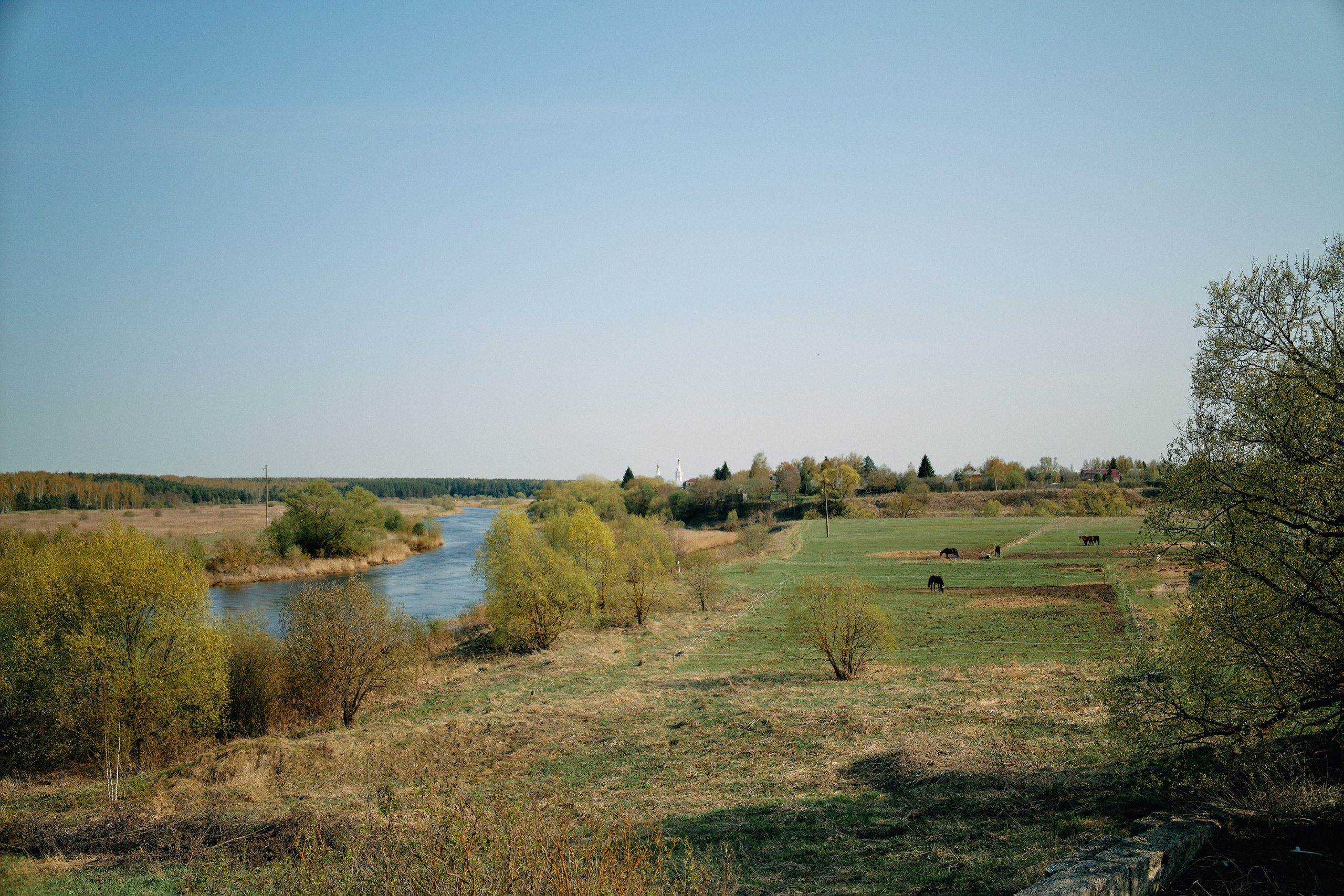 Бутик-отель Поле летом. Профессиональный Фотограф во Владимире, в Москве и в Суздале — Полина Романычева