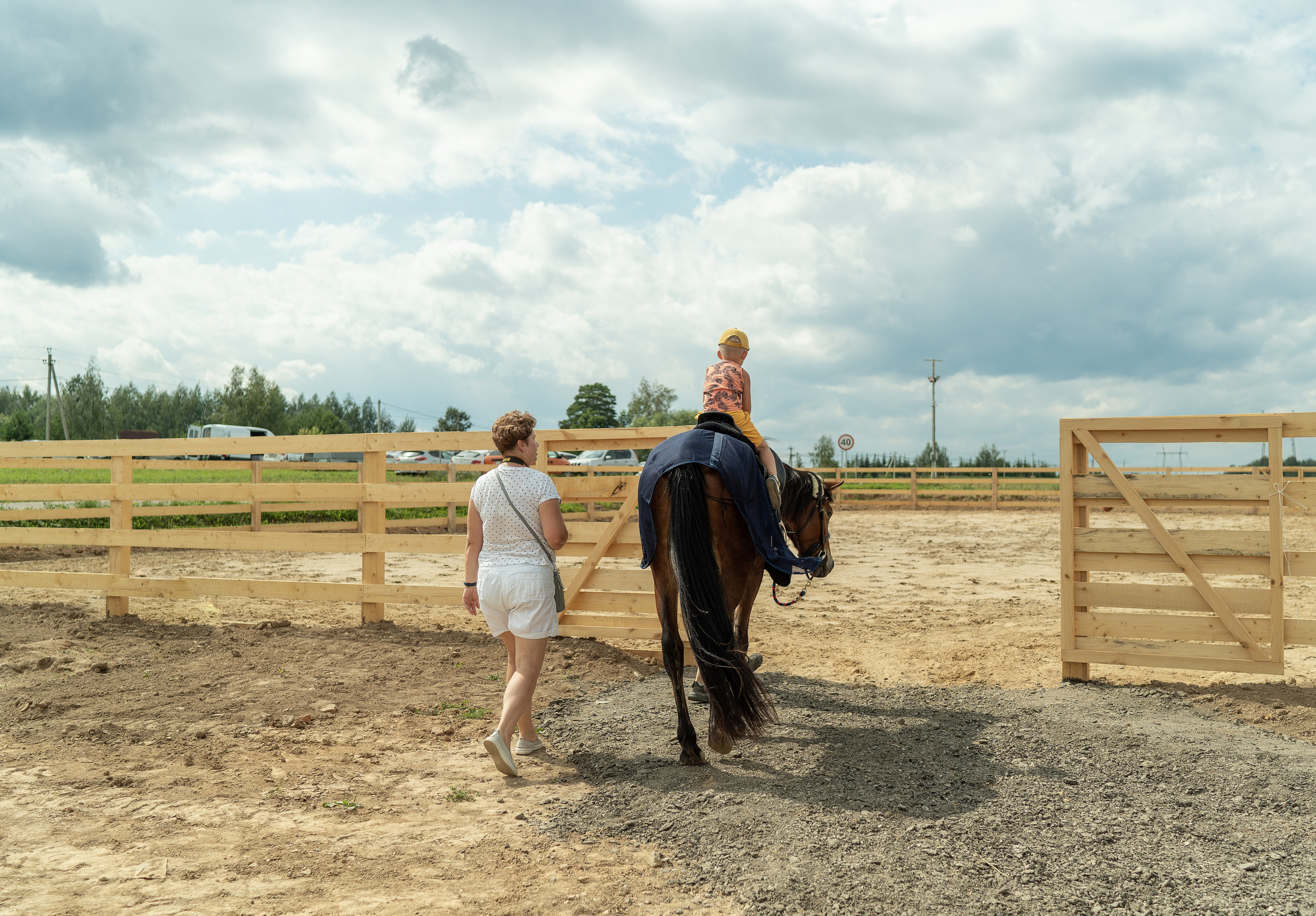 Фестиваль сыров