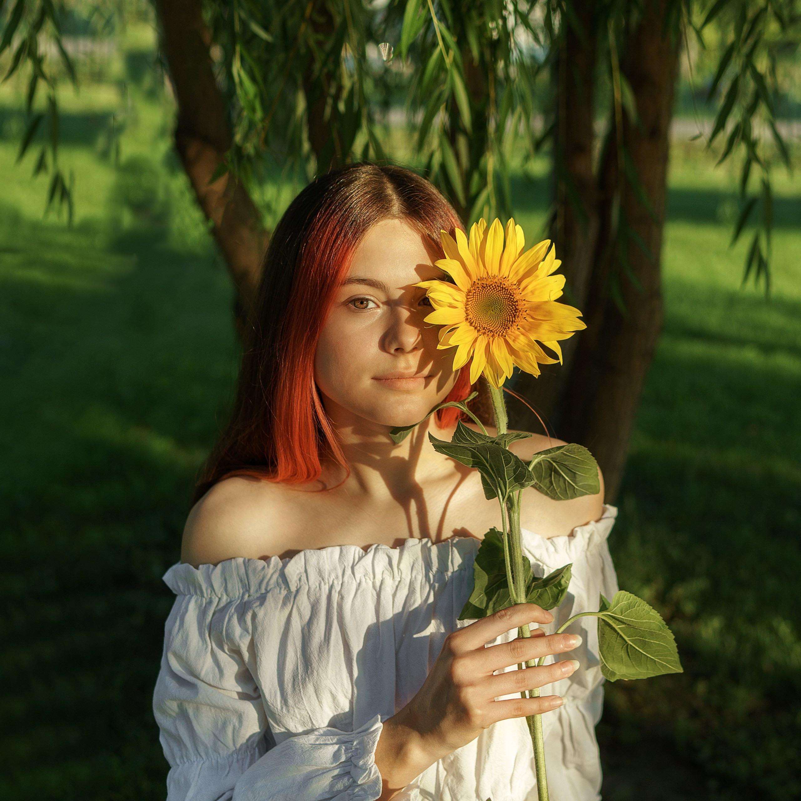 Саша и подсолнухи