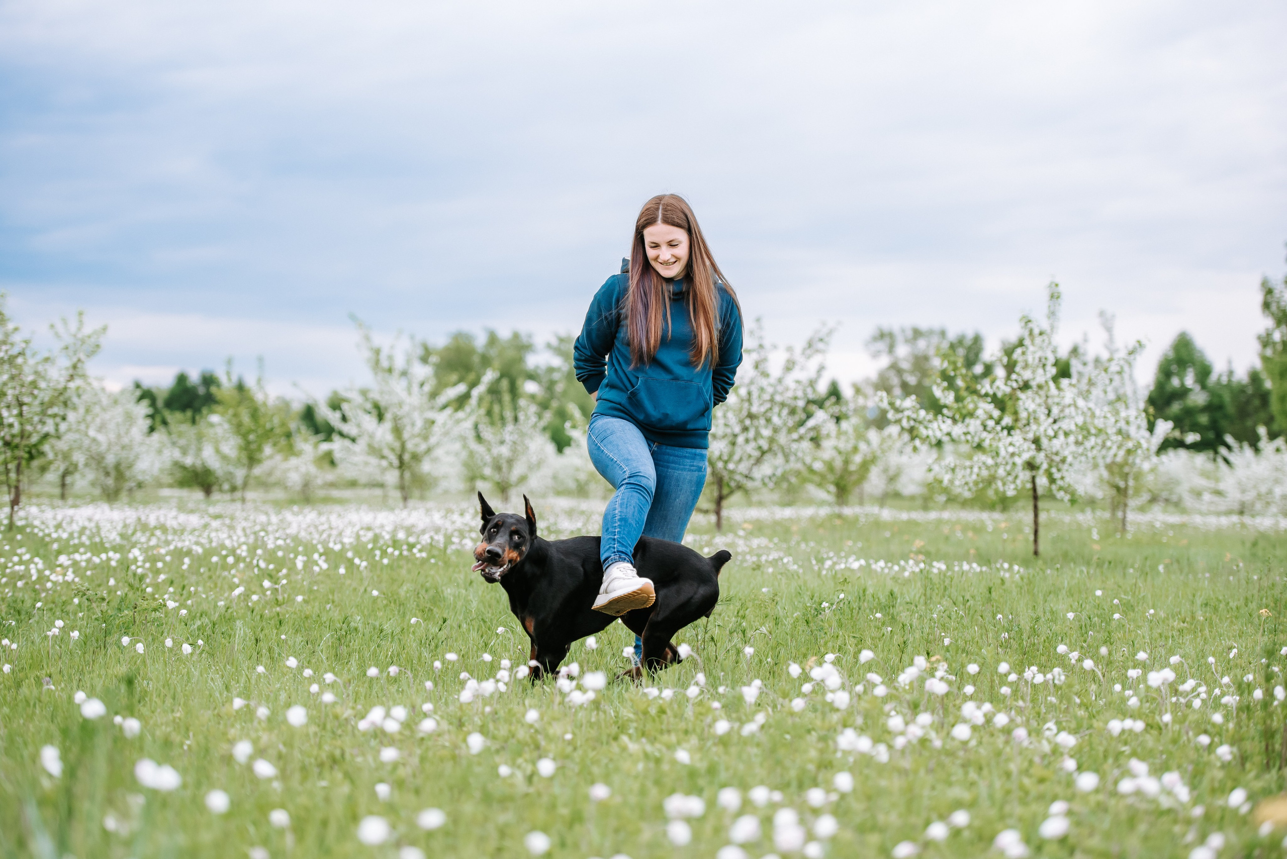Цветение с доберманами. Фотограф Диана Оленина Красноярск / Братск