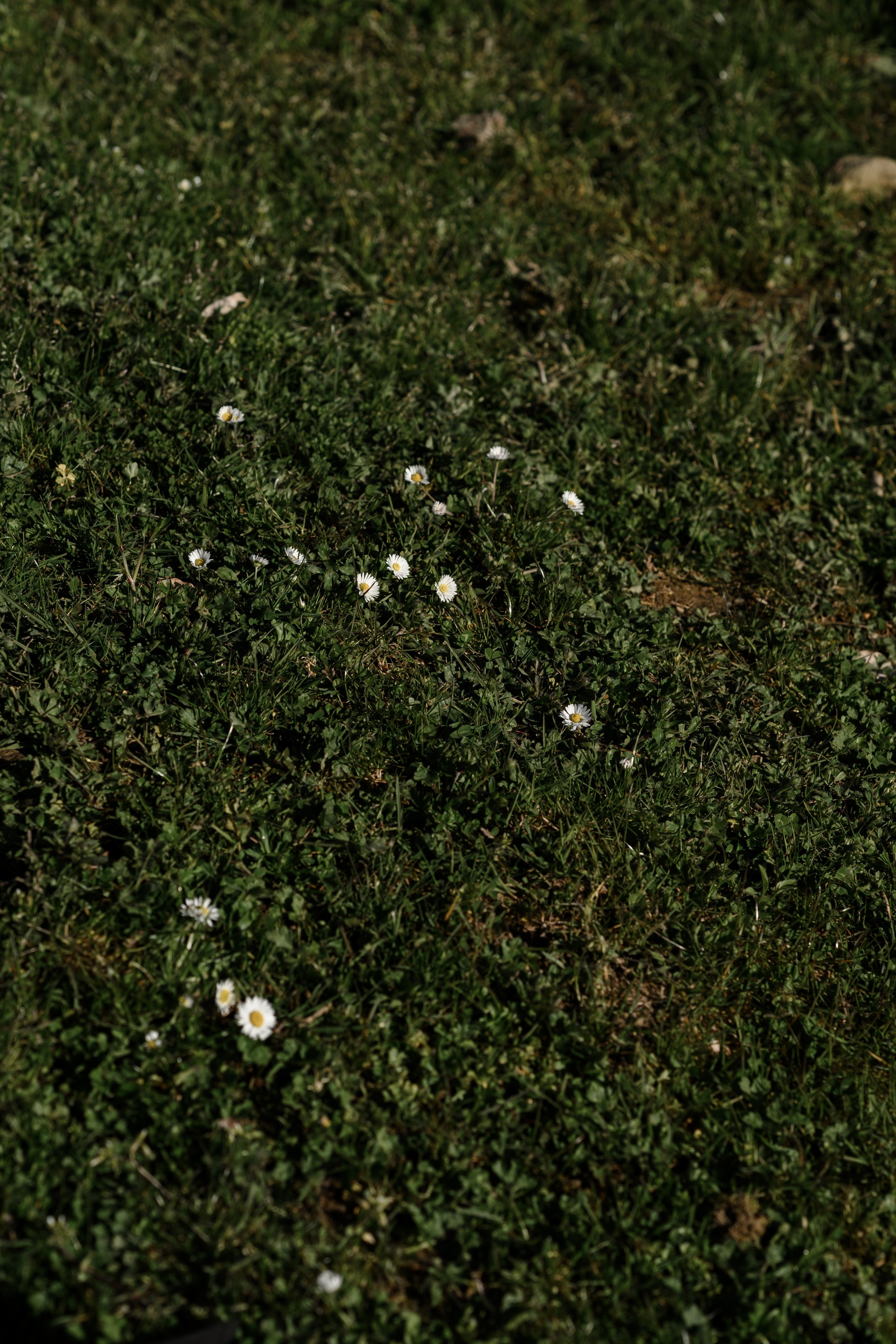 Гендер Пати. Фотограф в сочи Свадебный фотограф Сочи