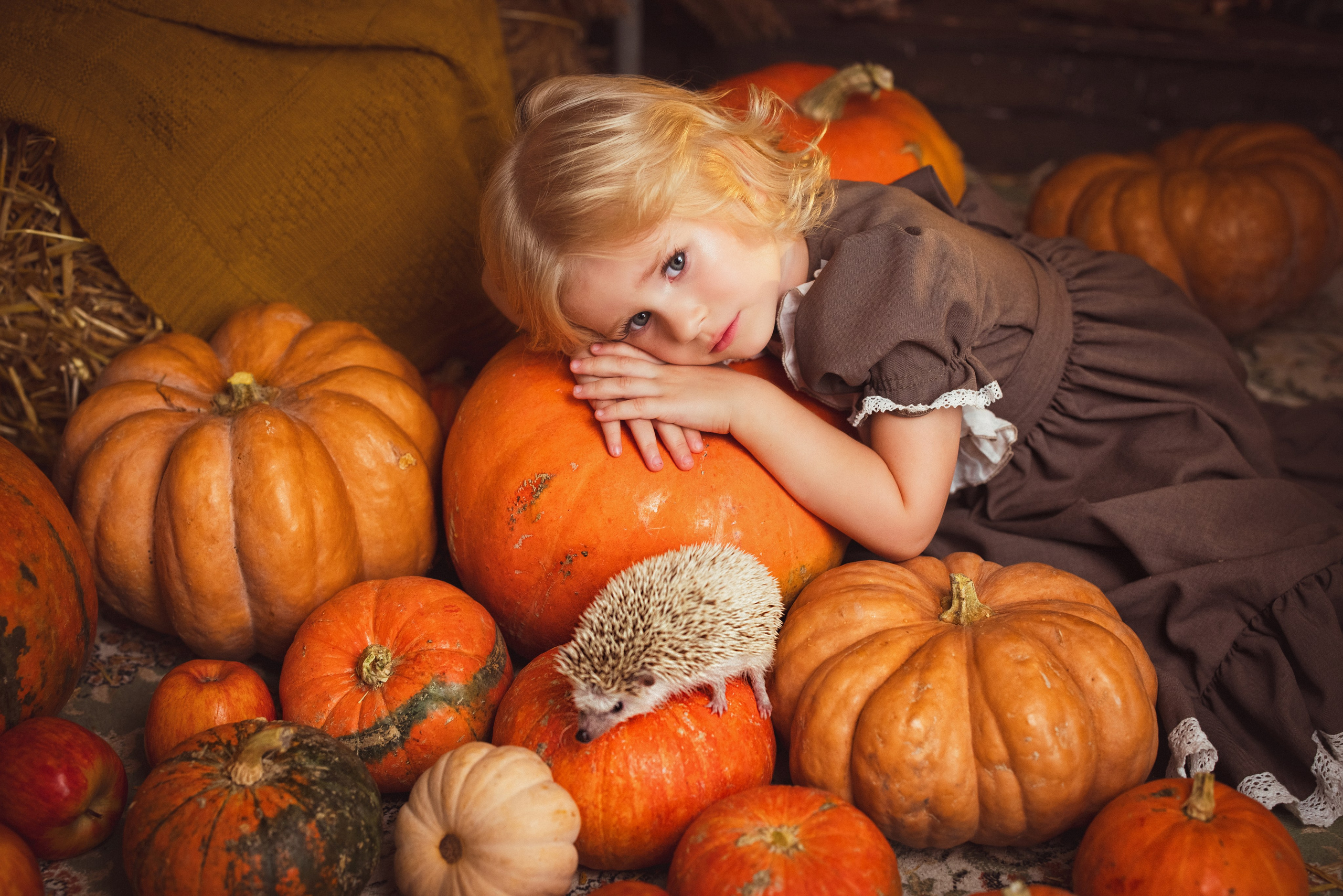 Детская осенняя фотосессия в фотостудии «Авторская». Семейный и детский фотограф в Краснодаре Анна Трашкова