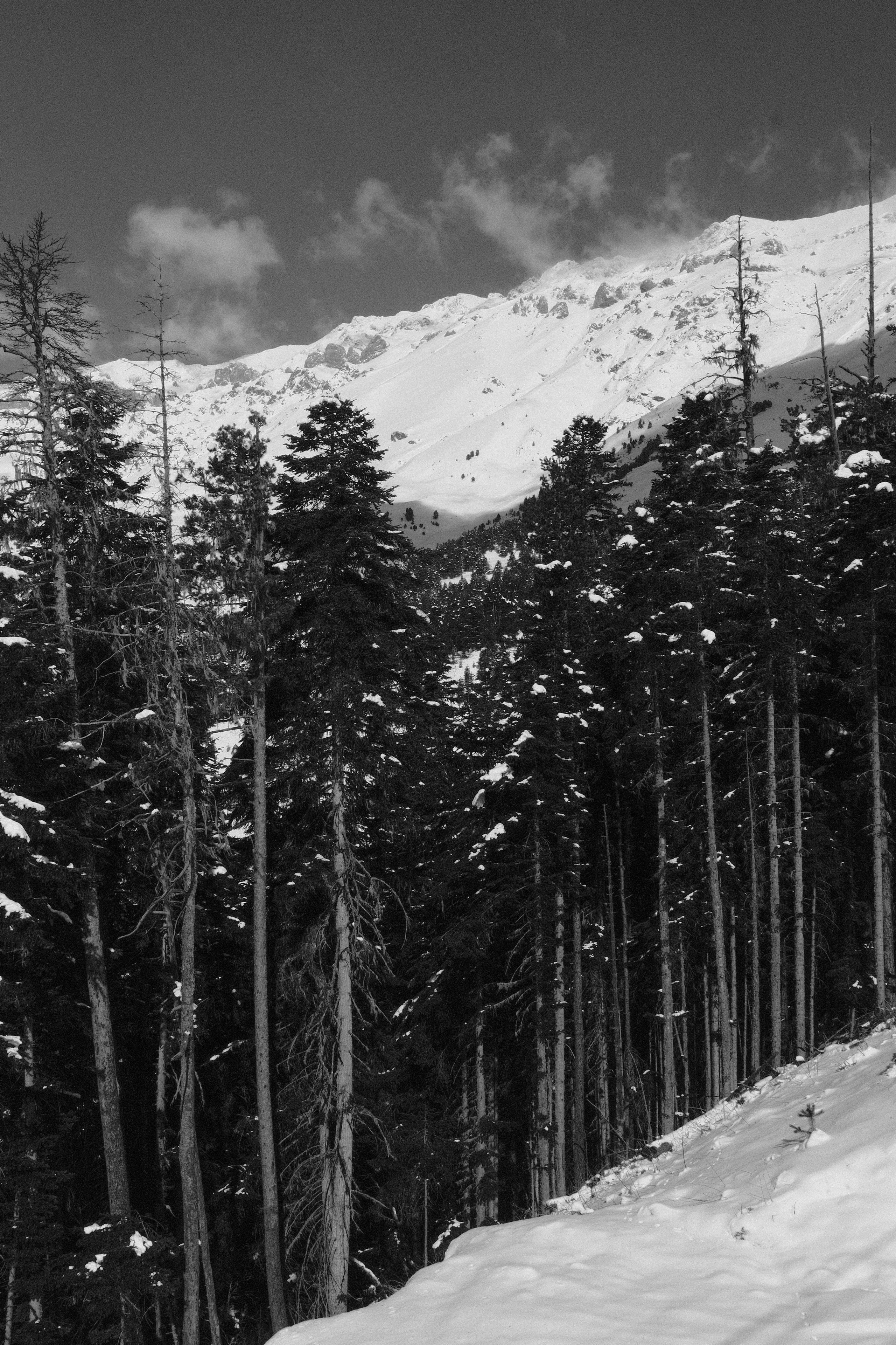 Arkhyz. Creative travel photographer — Berg Daria