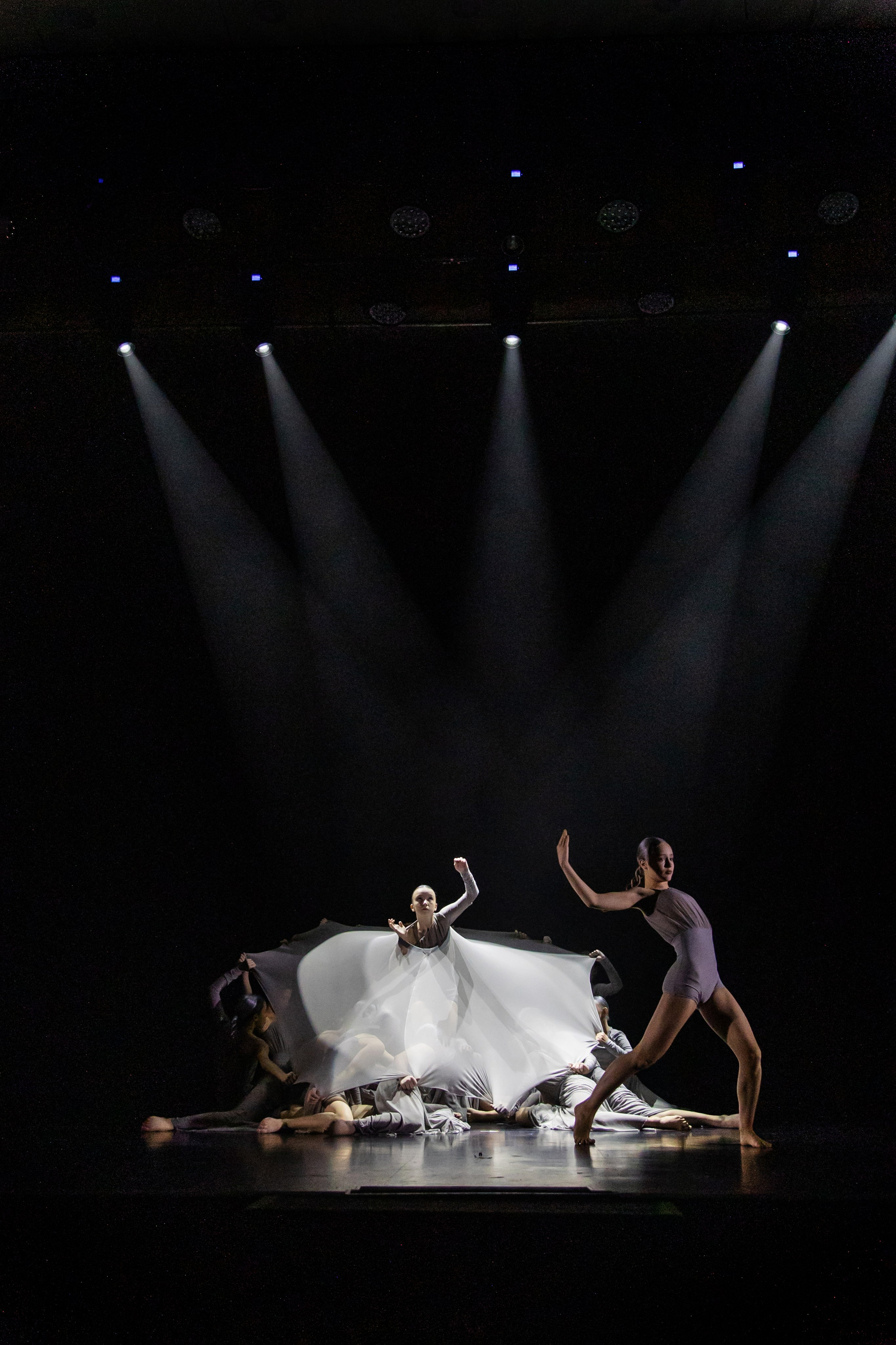 ВЕЧЕР СОВРЕМЕННОЙ ХОРЕОГРАФИИ-2025. Главная