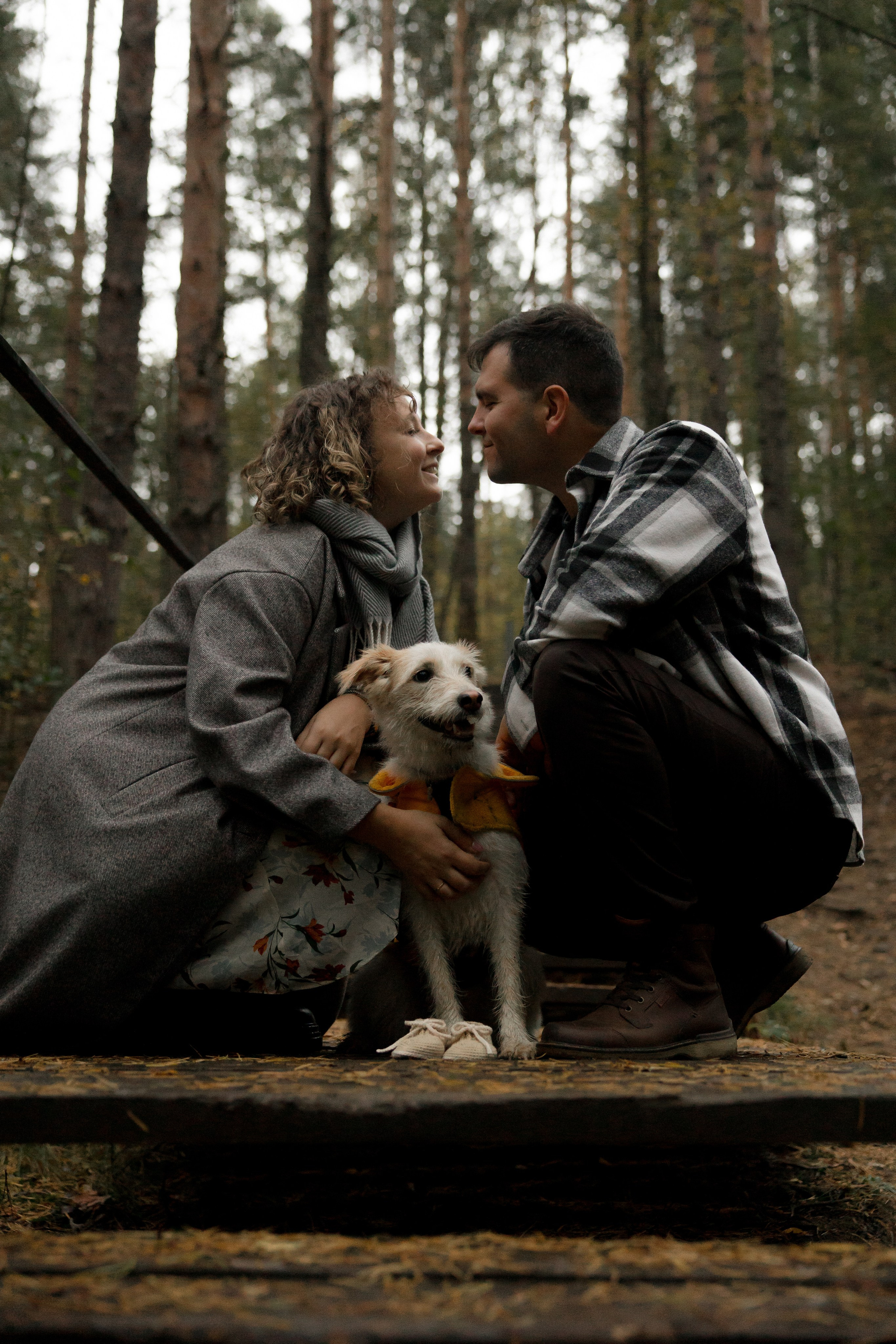 Трое, считая собаку. Wed Photographers 📷 Saint Petersburg