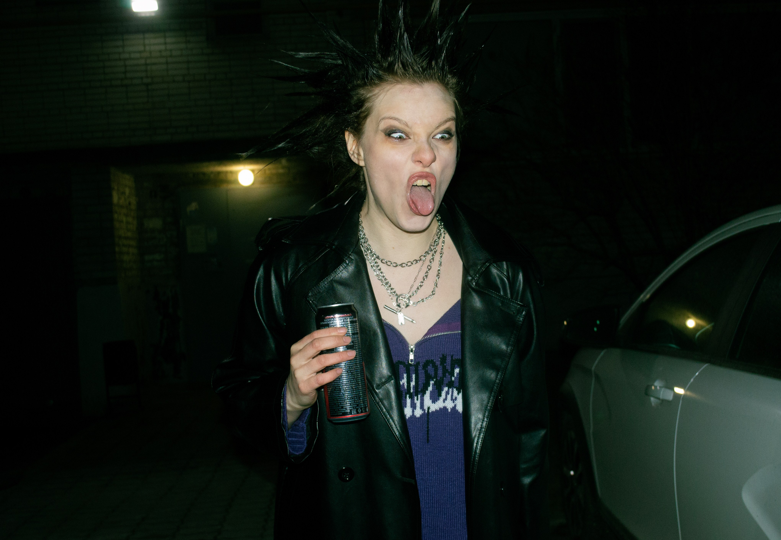 Гошок жив?. Костенко Анна pdie