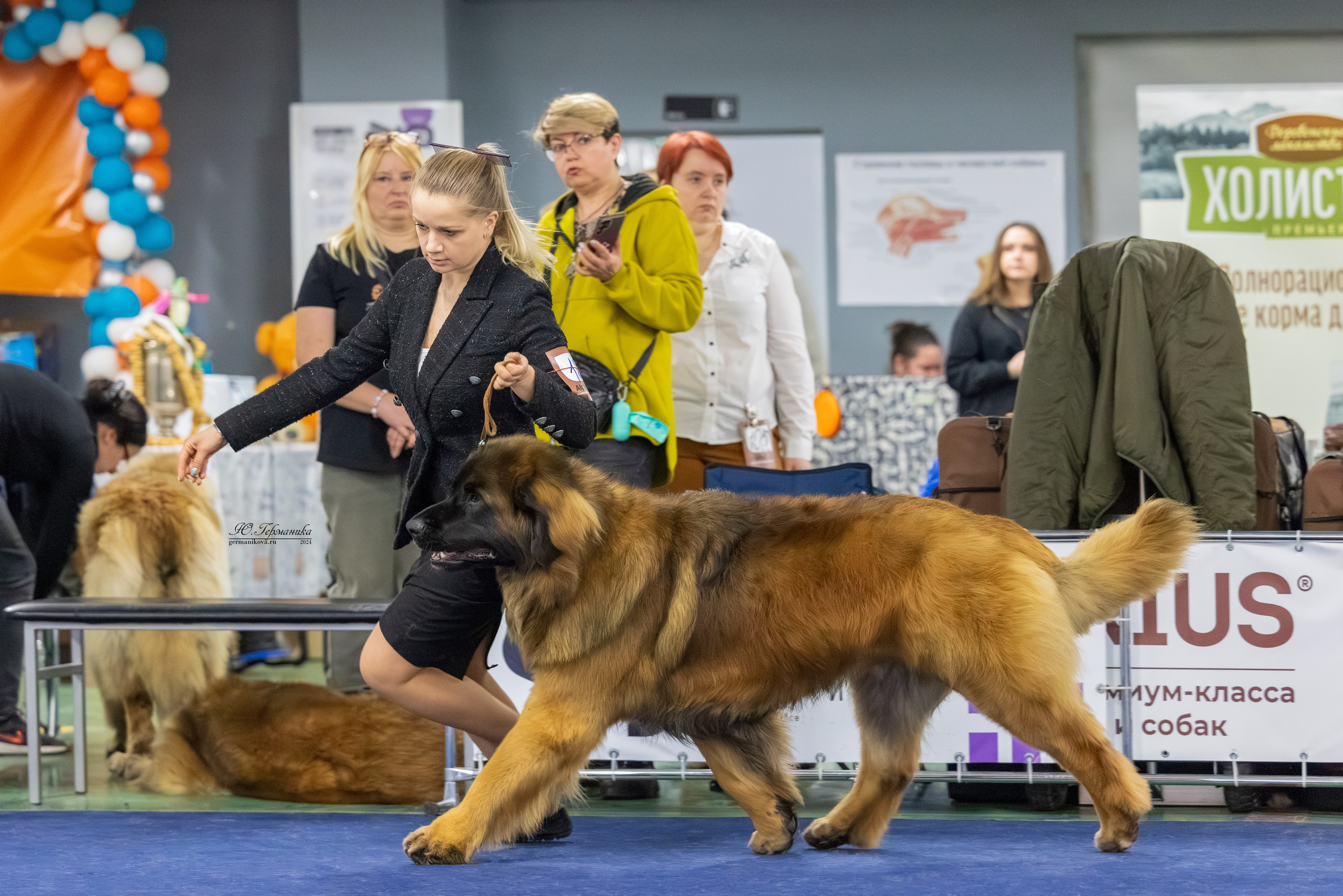 Сфера 17.03.2024. Фотограф-анималист Юлия Германика