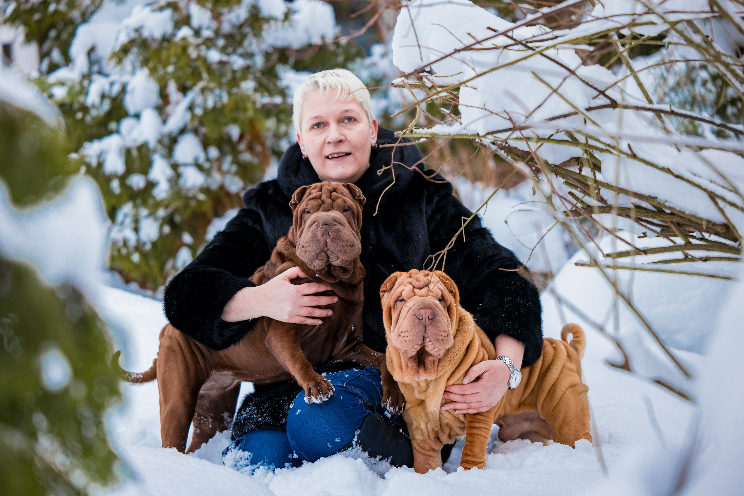 В гостях у шарпеев 16.01.2024. Фотограф-анималист Юлия Германика