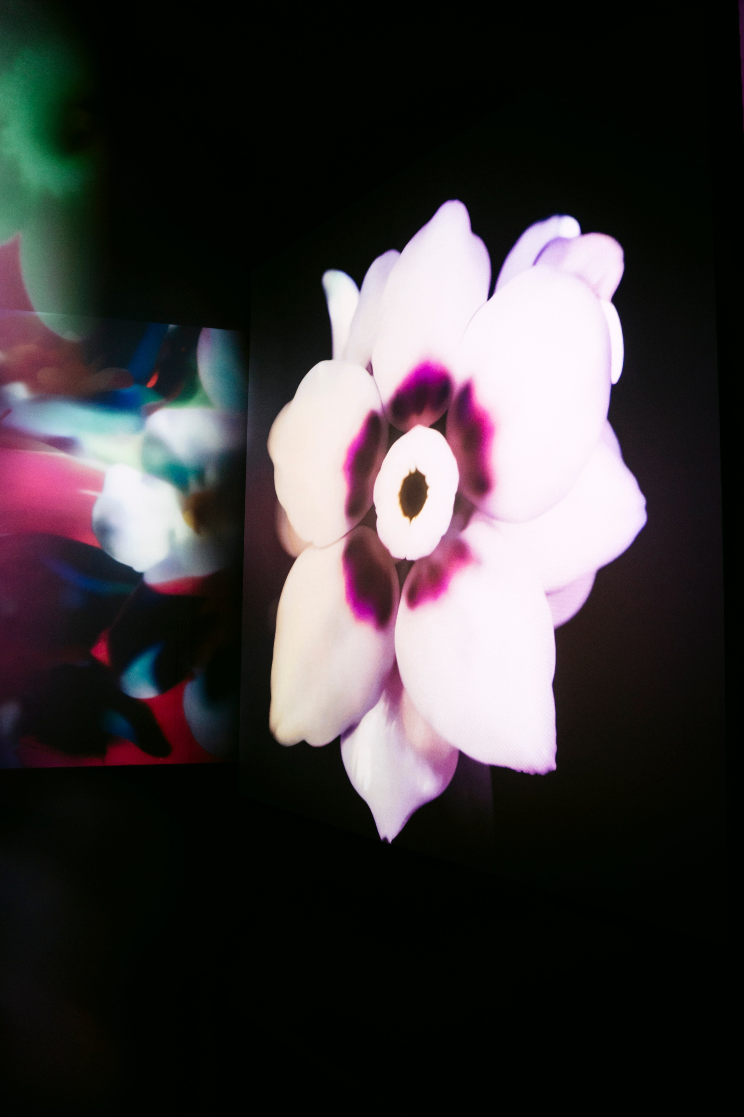 NUR NOW 2026. Главная