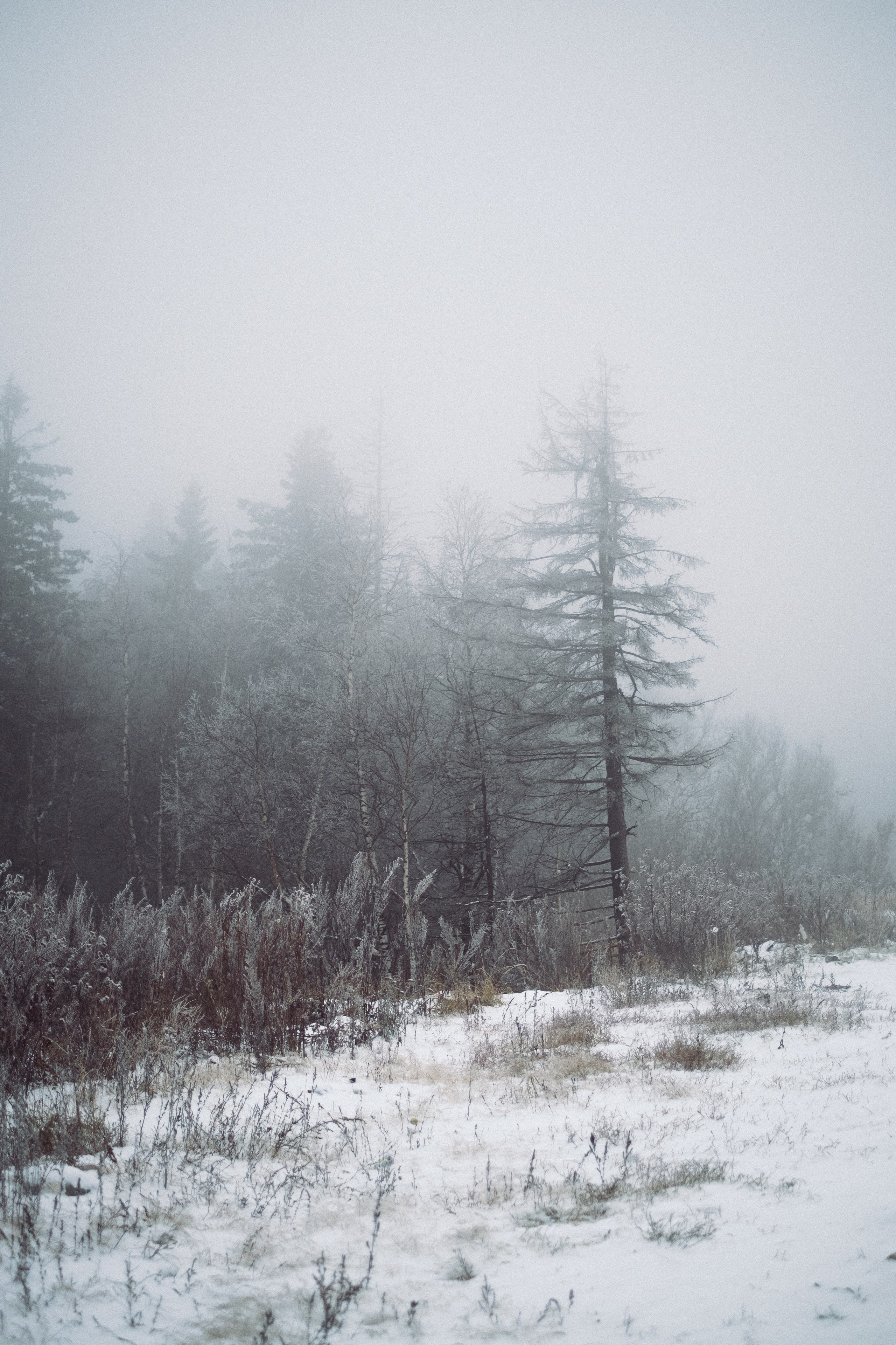 Обо мне. Anastasia N | Фотограф Челябинск