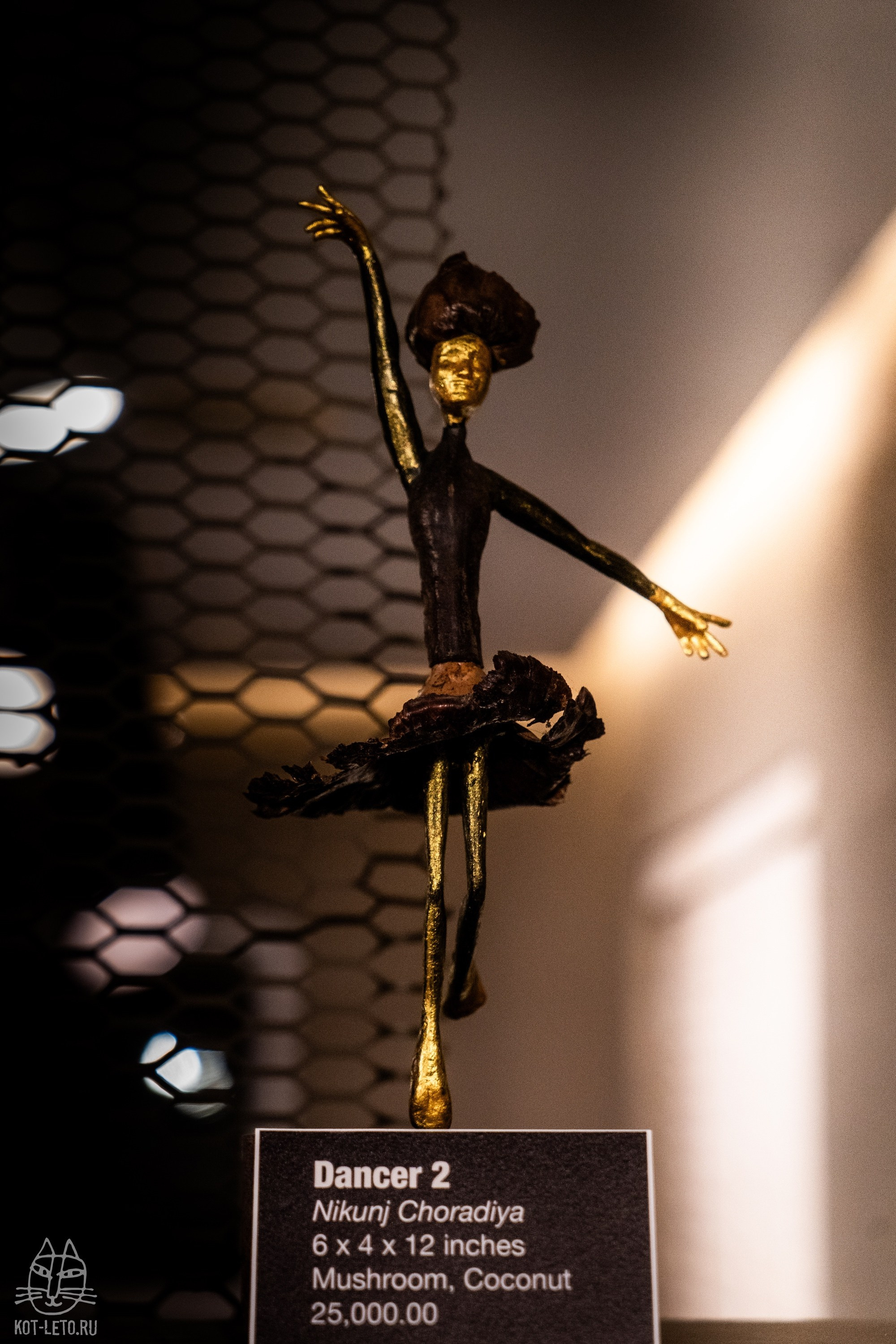 Exhibition BIOPHILIA (Goa). Твой фотограф — Полосатый кот