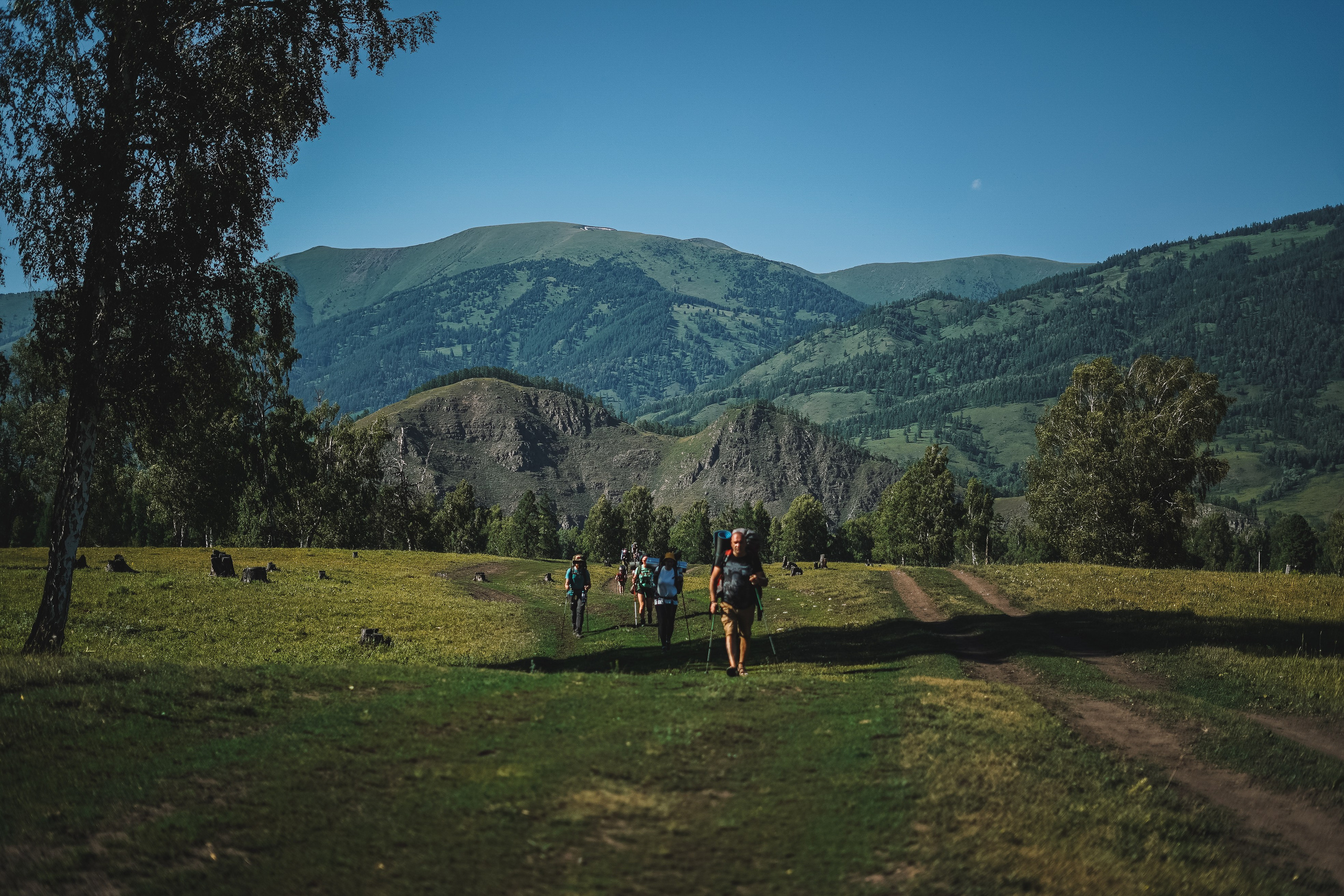 Алтай, поход к Белухе 2023. Фотограф Ольга Пучкова