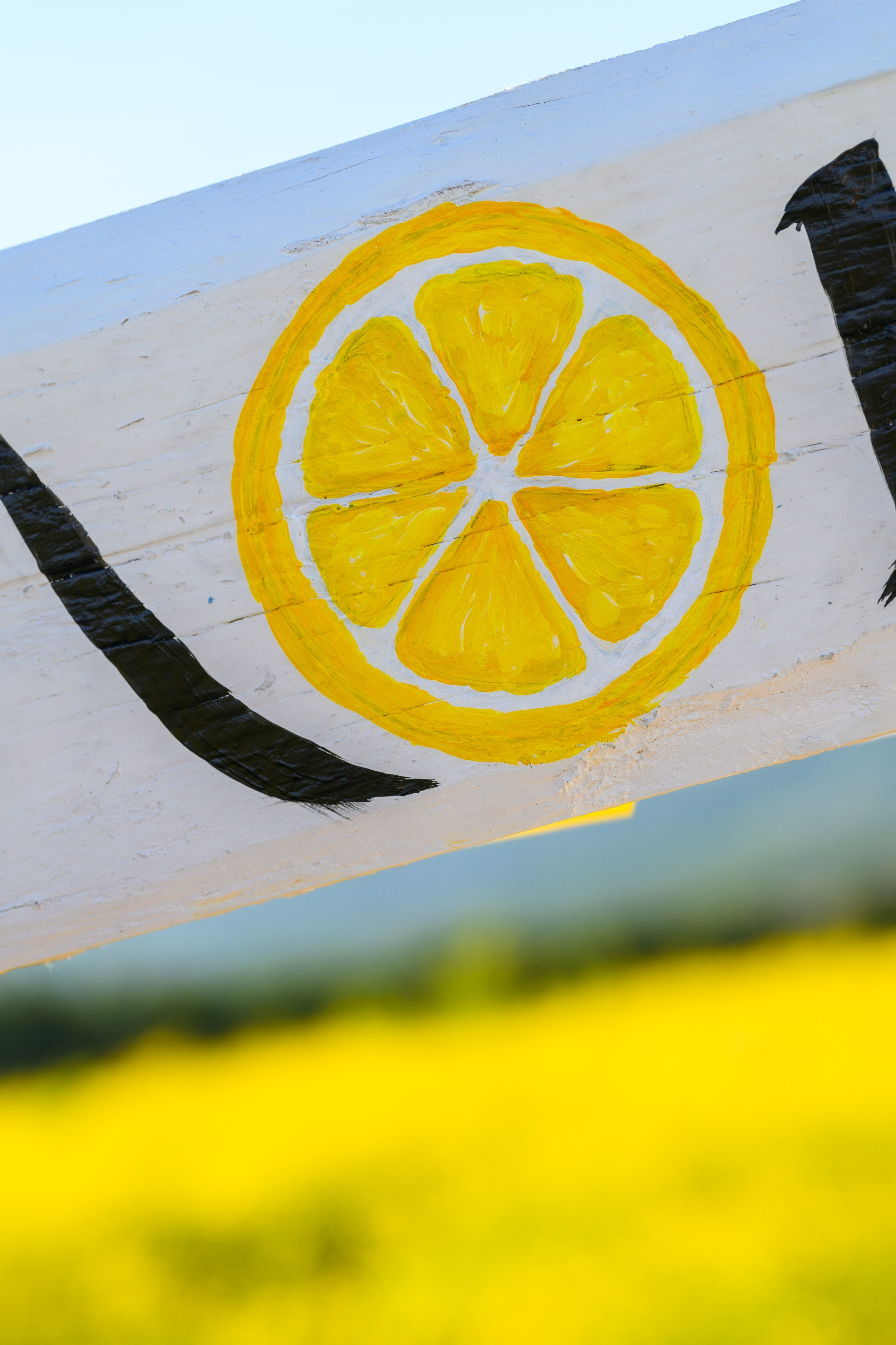 Фотопроект «Лимонад». Семейный, детский, lifestyle фотограф в Магадане Илона Проскурня