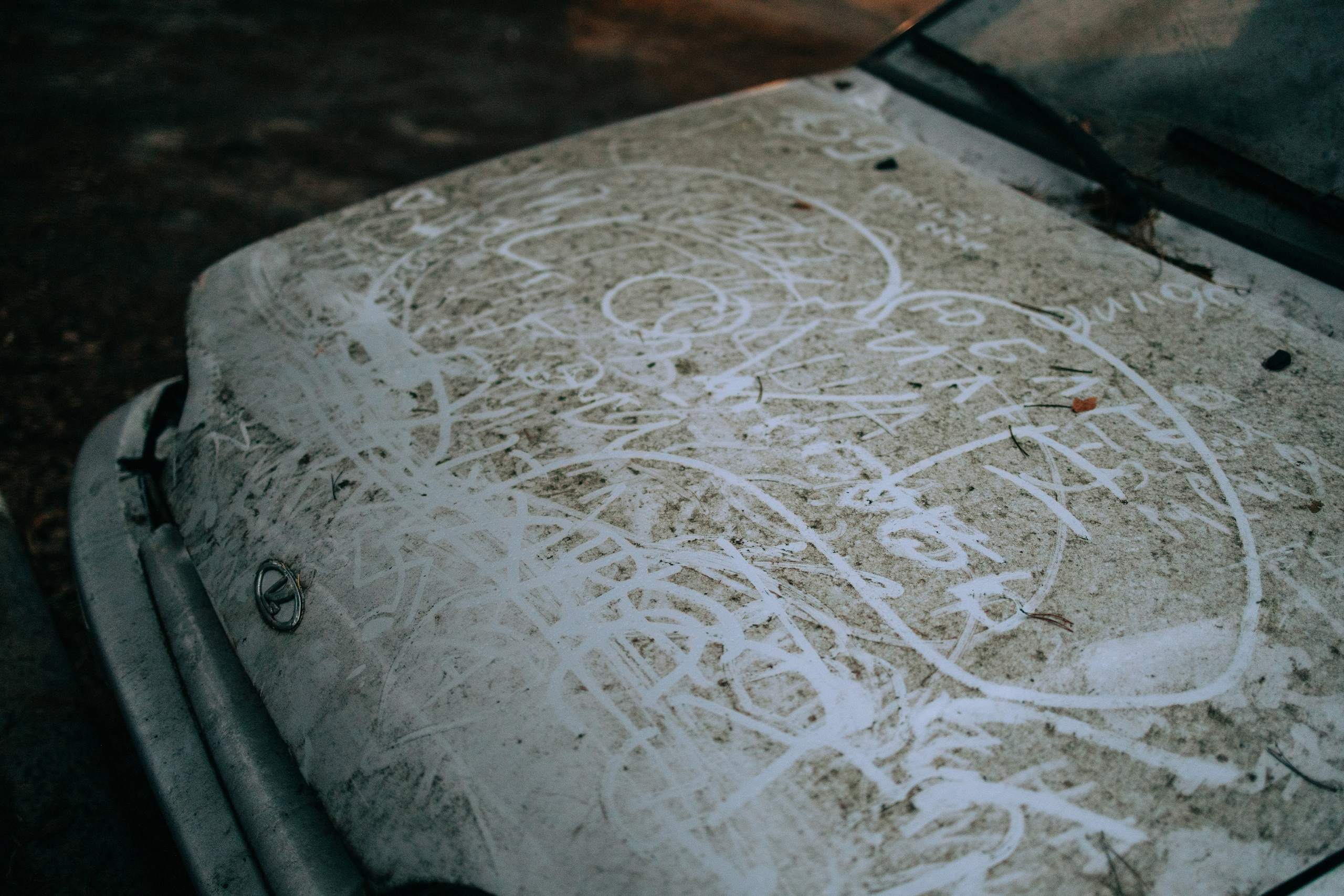 Алексин. Свадебный и семейный фотограф в Туле и области Маша Костина