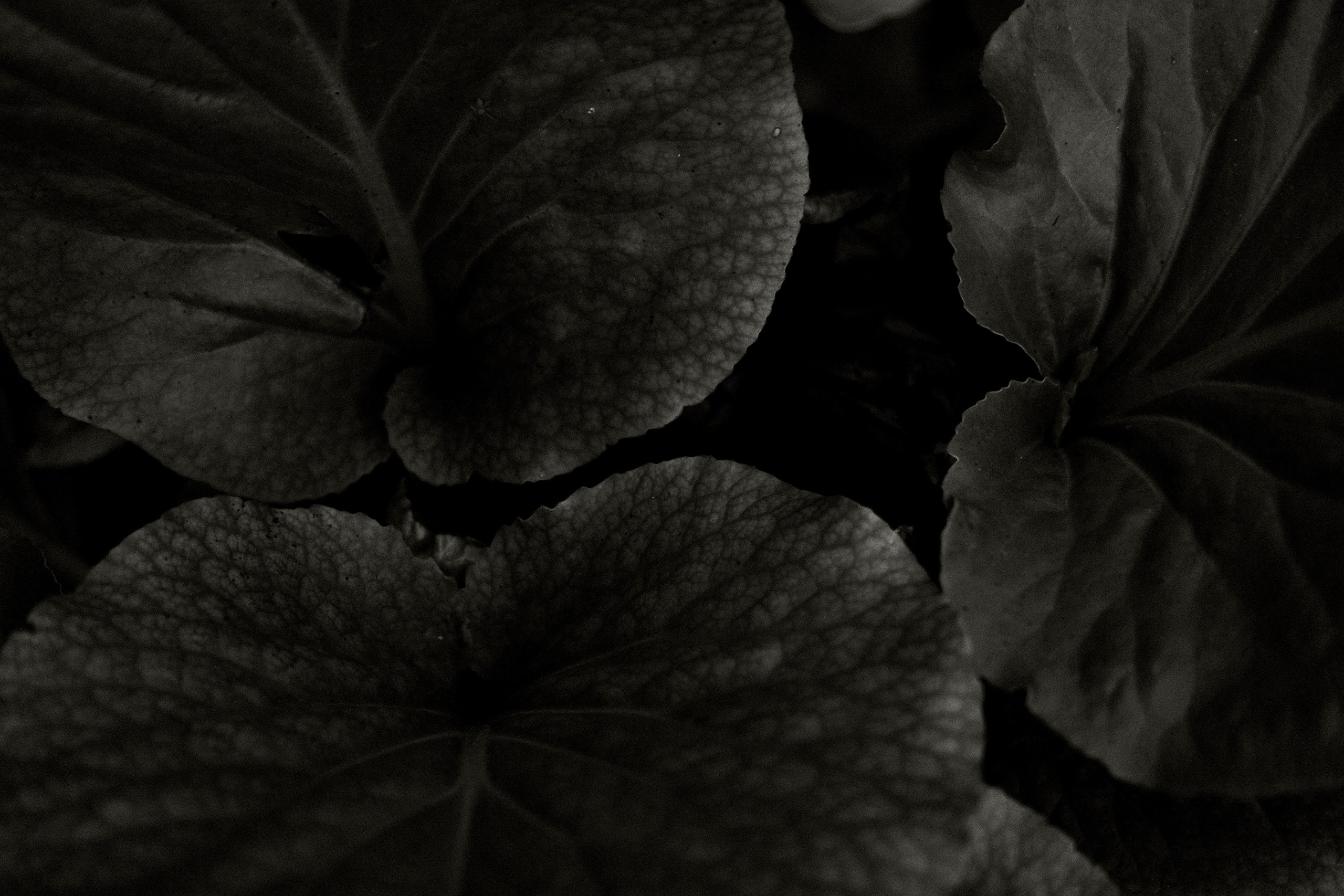 Природа. Фотограф Маргана Лоция