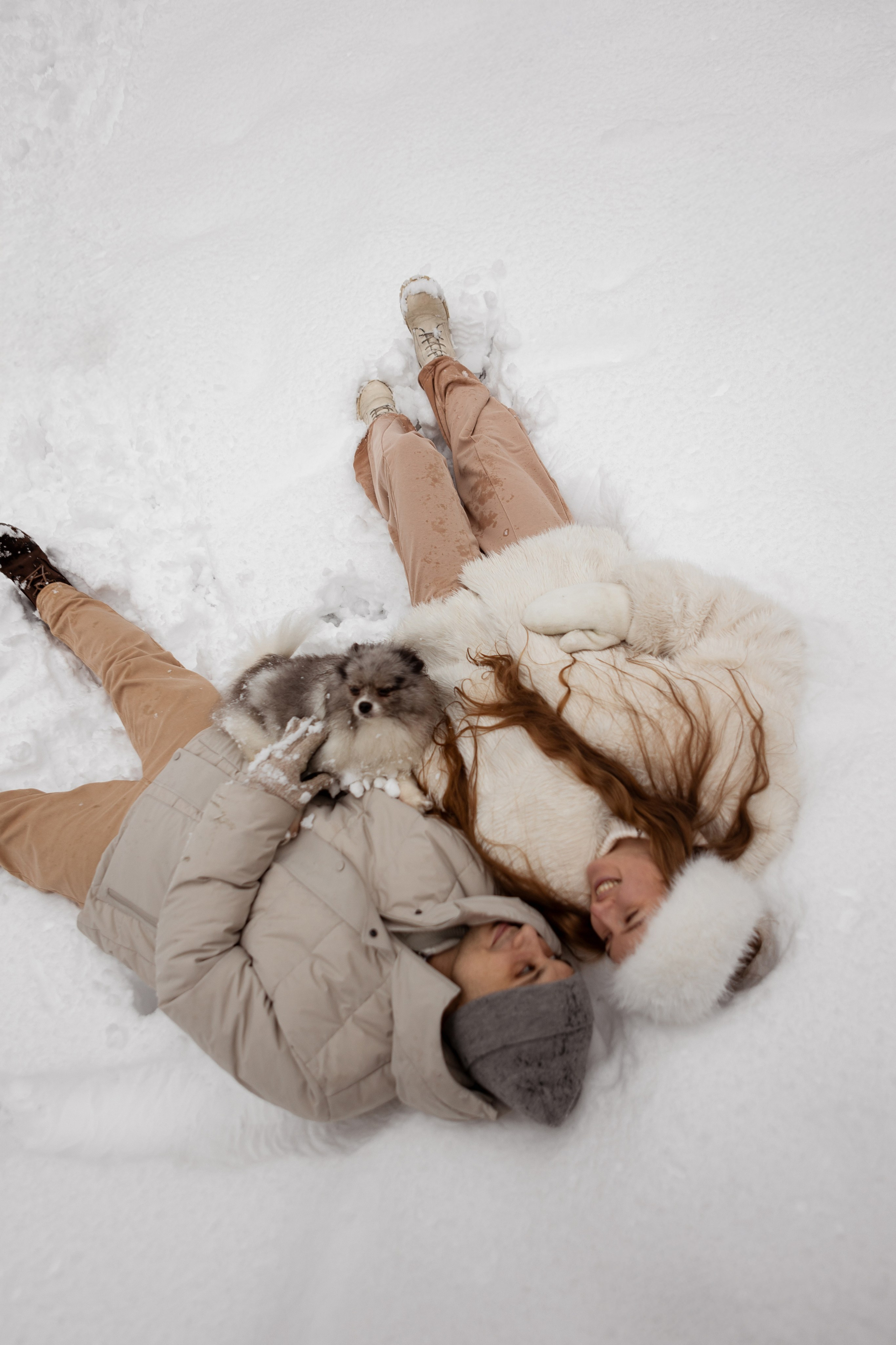 Новогодняя фотосессия с собачками в шуваловском парке. Свадебный фотограф в СПБ | Санкт-Петербурге Анастасия Рахимгулова