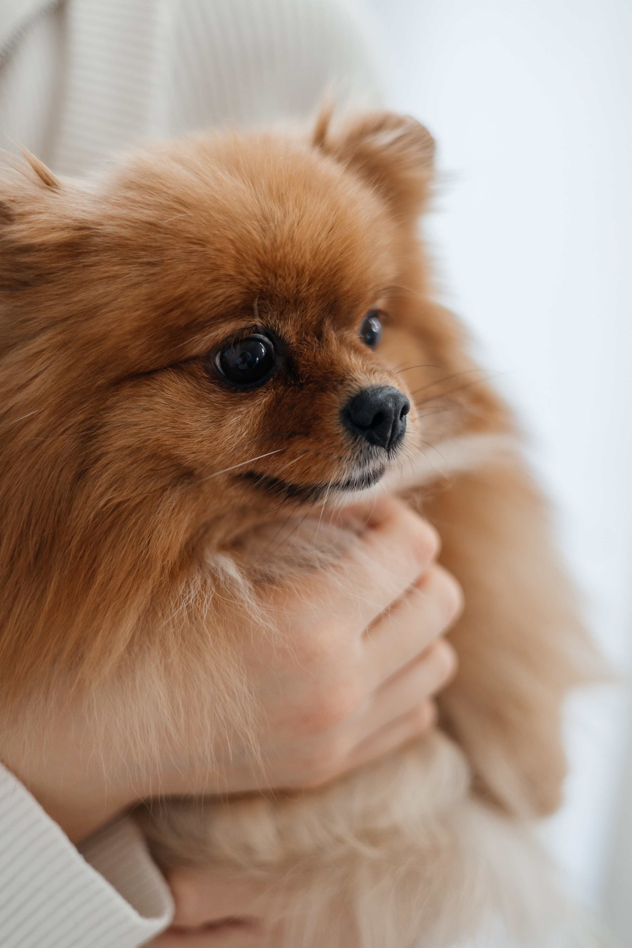 Саша и Настя — история двух сестёр. Дарья Нерсесян — фотограф в Ростове-на-Дону