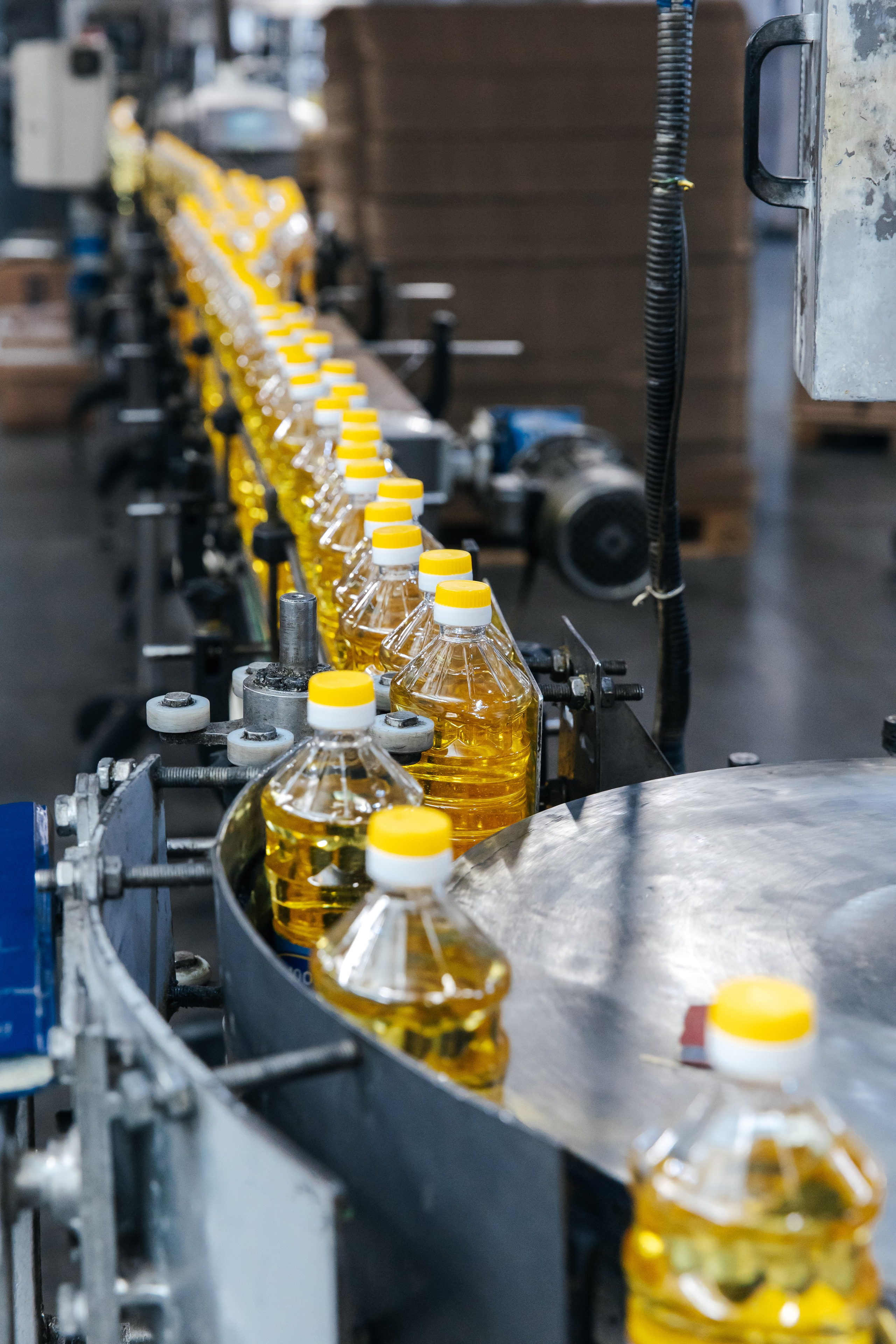 Диво Алтая. Производитель подсолнечного масла. Лихошерстов Андрей — фотограф для бизнеса из Сибири