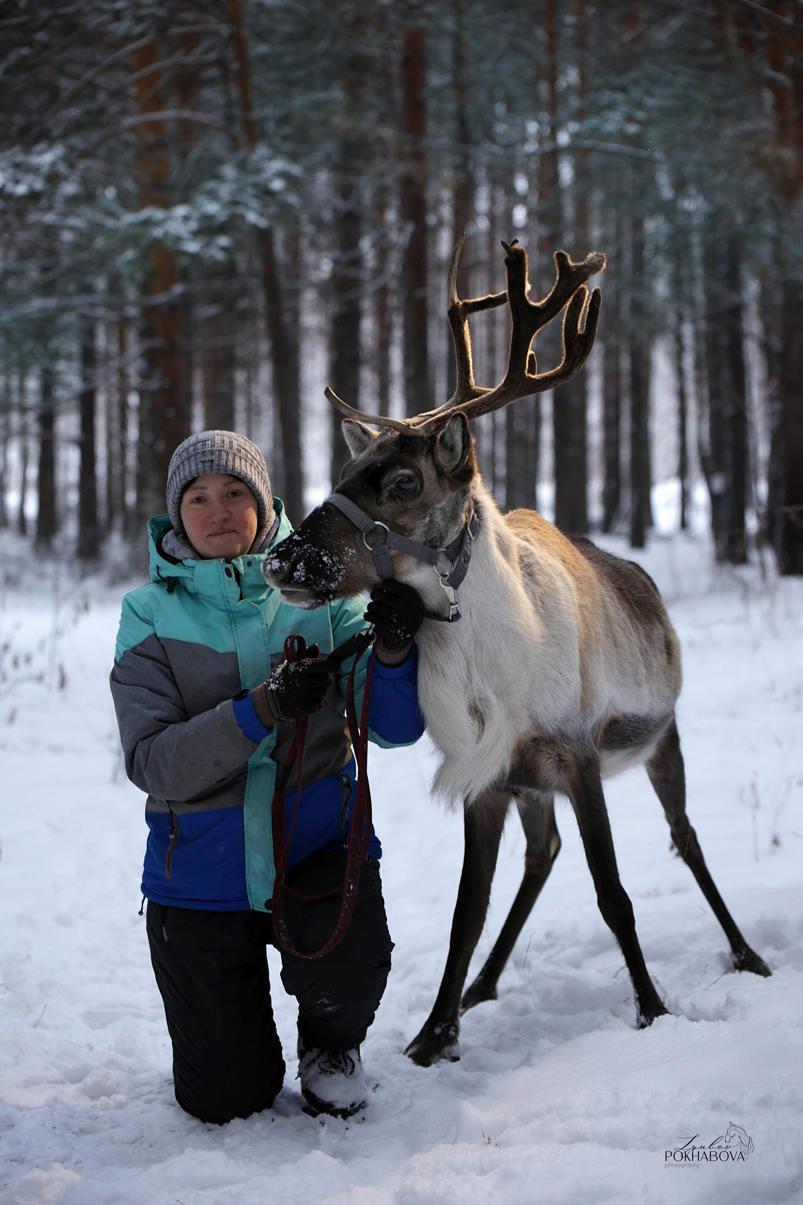 Олениха Нося 2024. Конный фотограф в Красноярске — Любовь Похабова