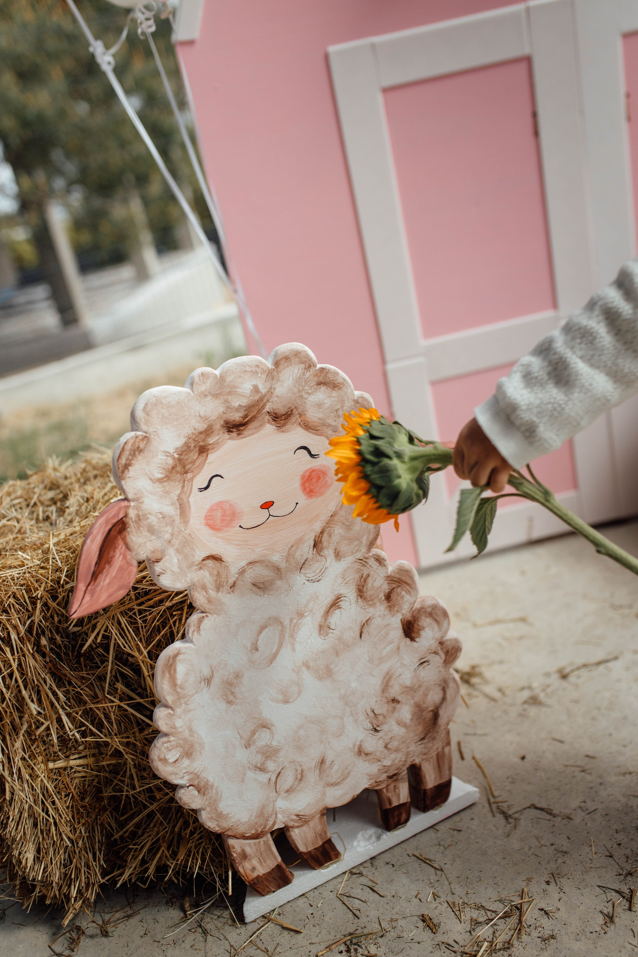 Репортаж дома, др