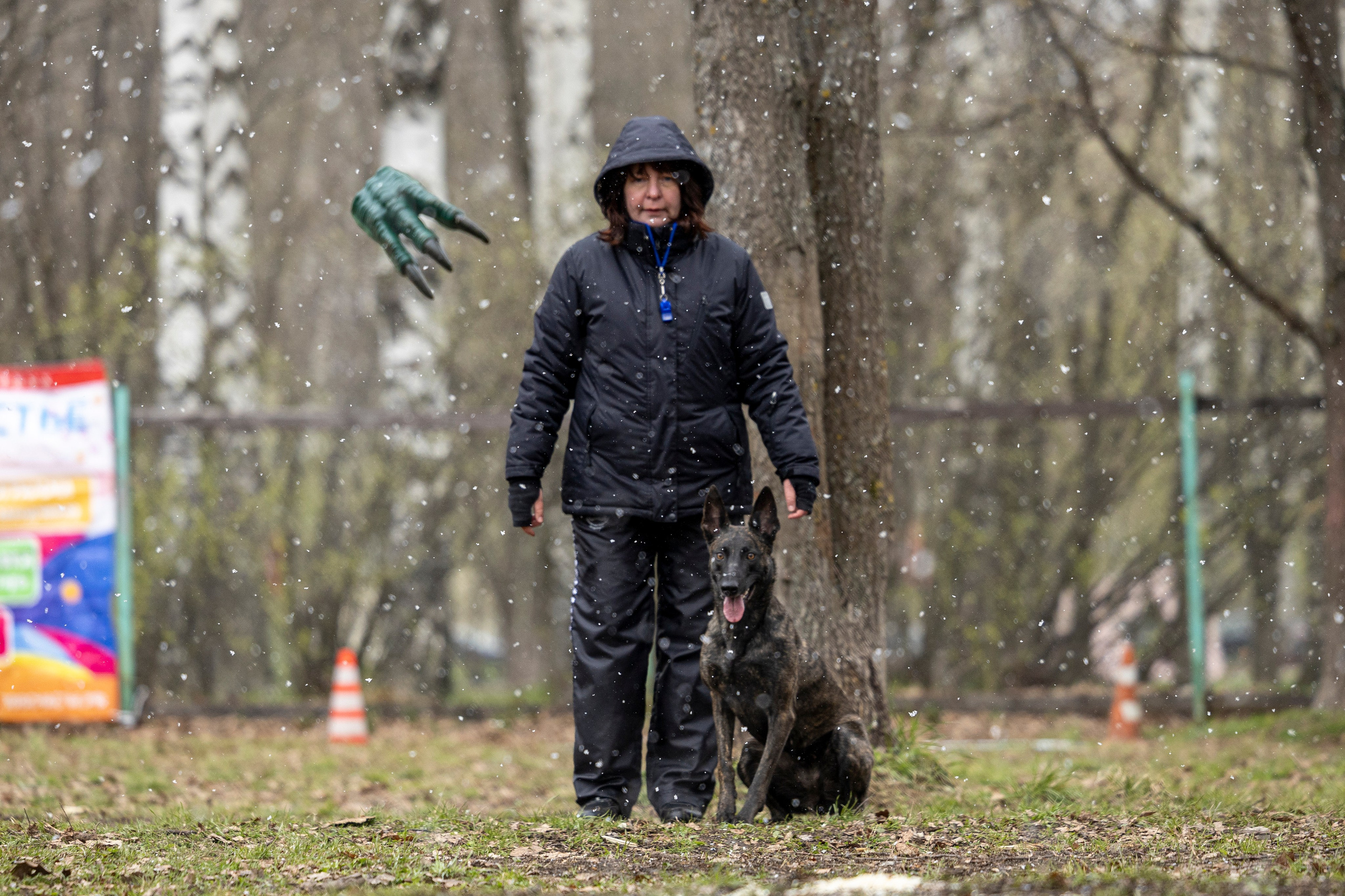 Квалификационные состязания по мондьорингу г. Вологда 11.05.24. Фотограф-анималист Анна Маринич