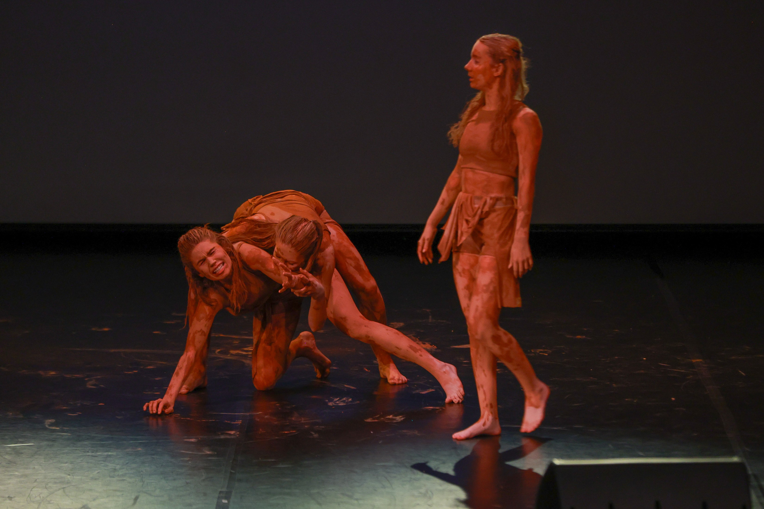 Небесные ласточки на Танц ЭКСПО 2026. Фотограф Юлия Мальцева