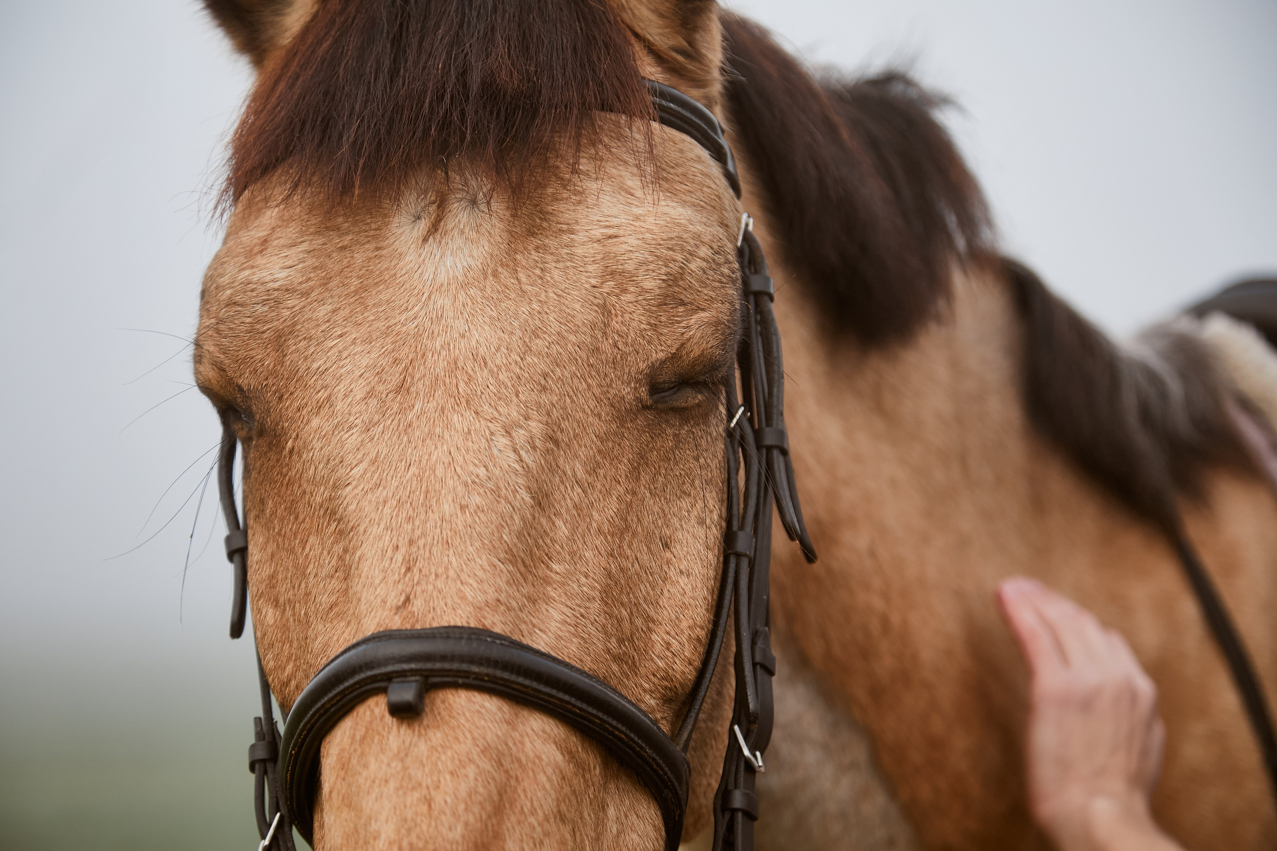 «Он, Она и Винсент ван Гог». Свадебный и креативный фотограф в ЮФО