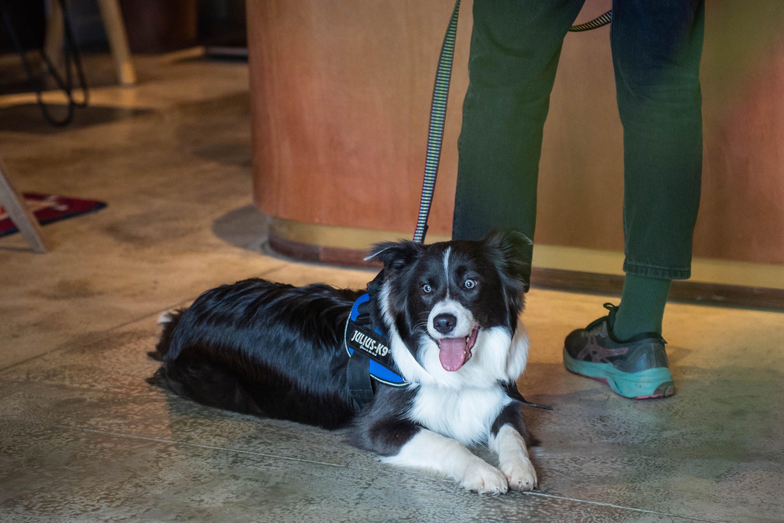 SURF COFFEE| DAY. Фотограф Абакумова Анастасия