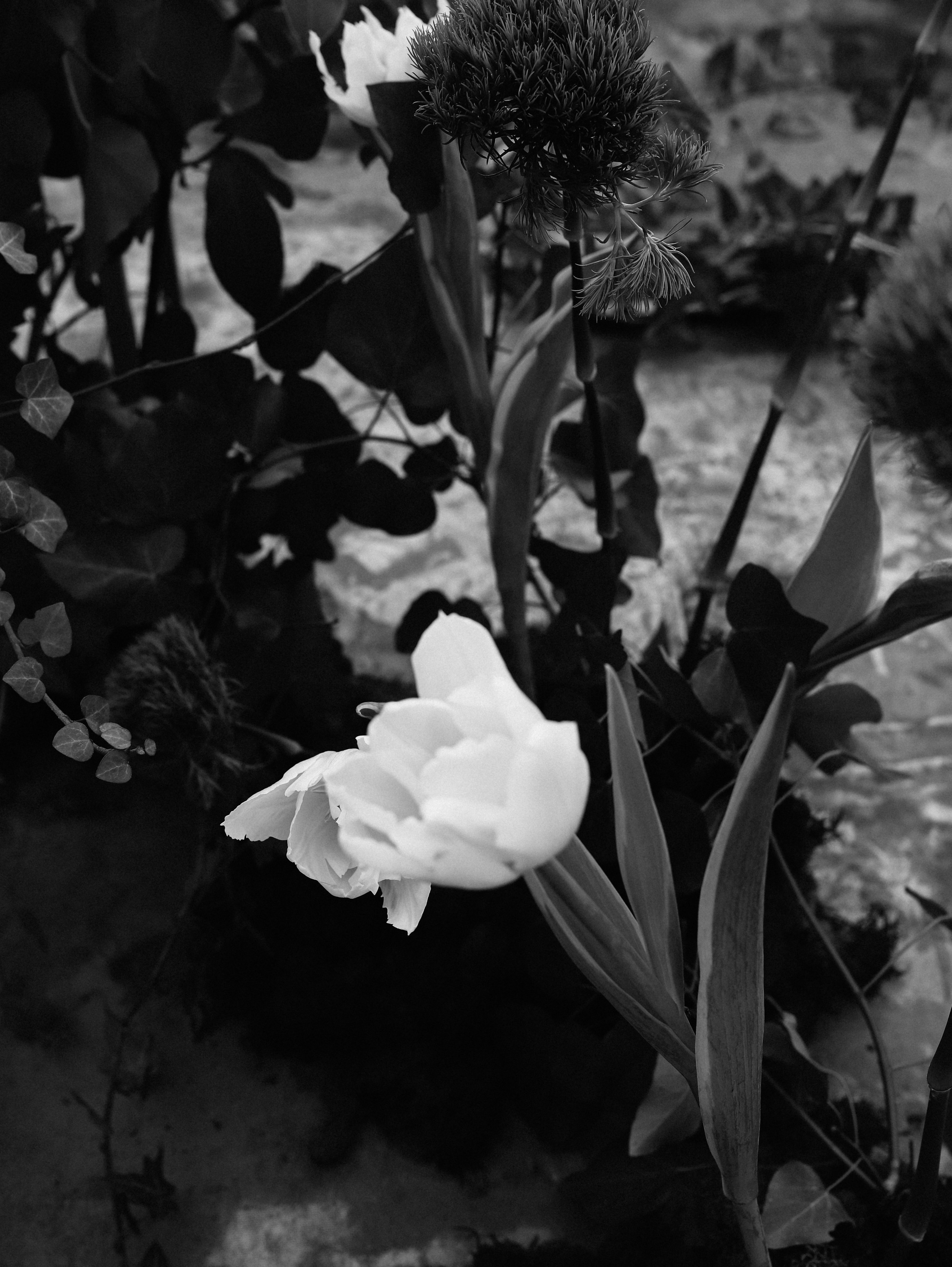 AMORE. Свадебный фотограф казань / организатор фото туров для фотографов Пивоварова Айгуль