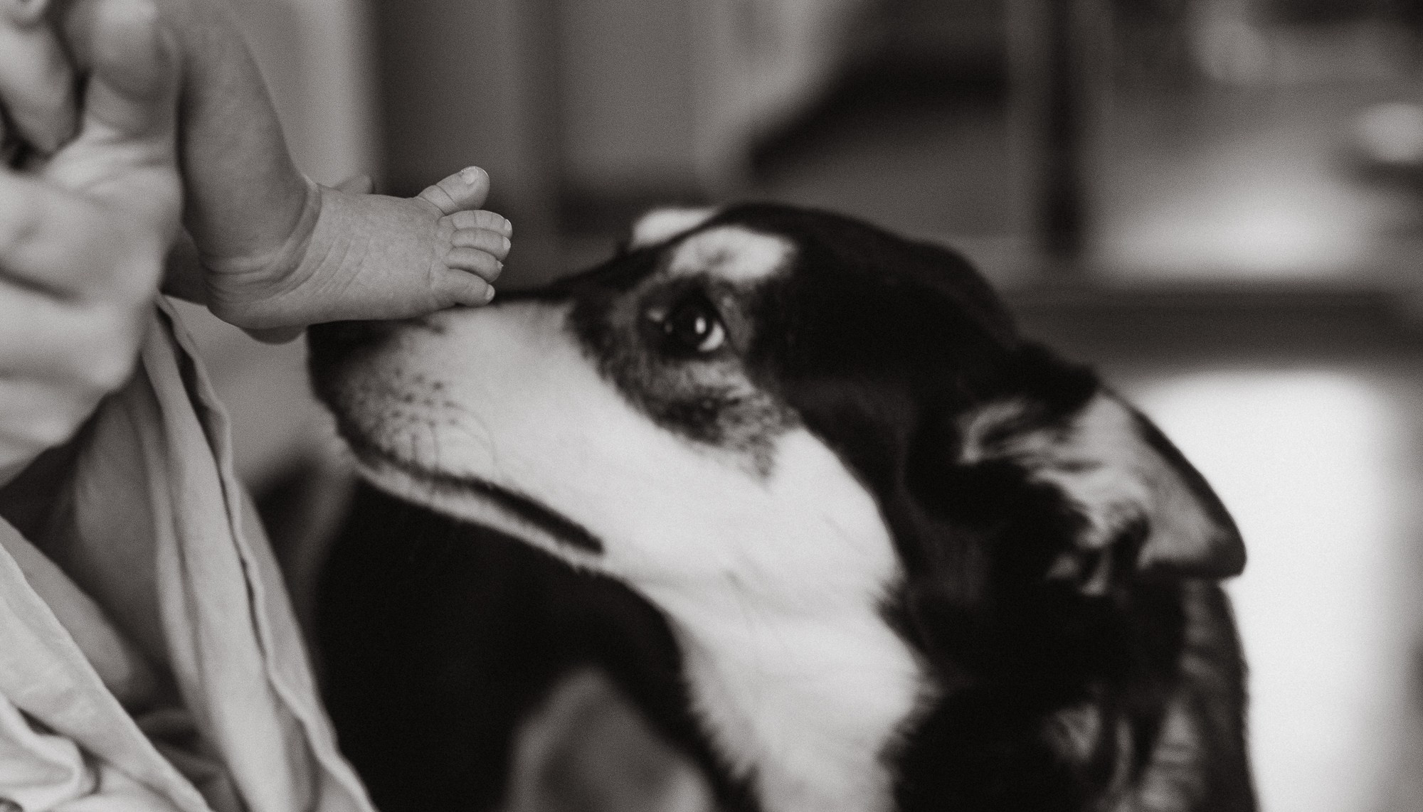 Тимофей в кругу семьи. Семейный, ньюборн фотограф, фотограф на роды в Москве, Виктория Тюльдюкова