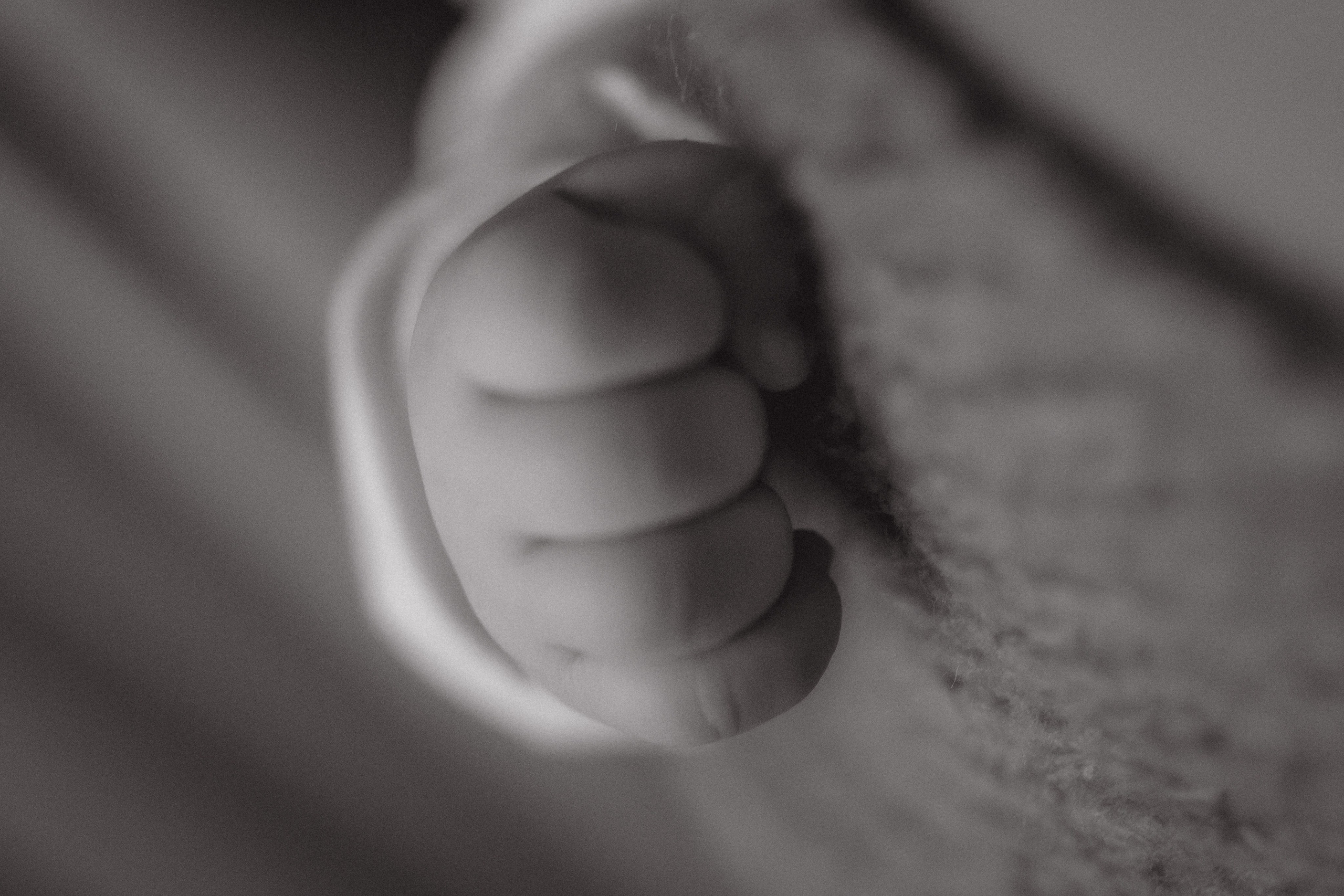 Маленький сыночек. Семейный фотограф Москва. Фотограф беременности и материнства Москва