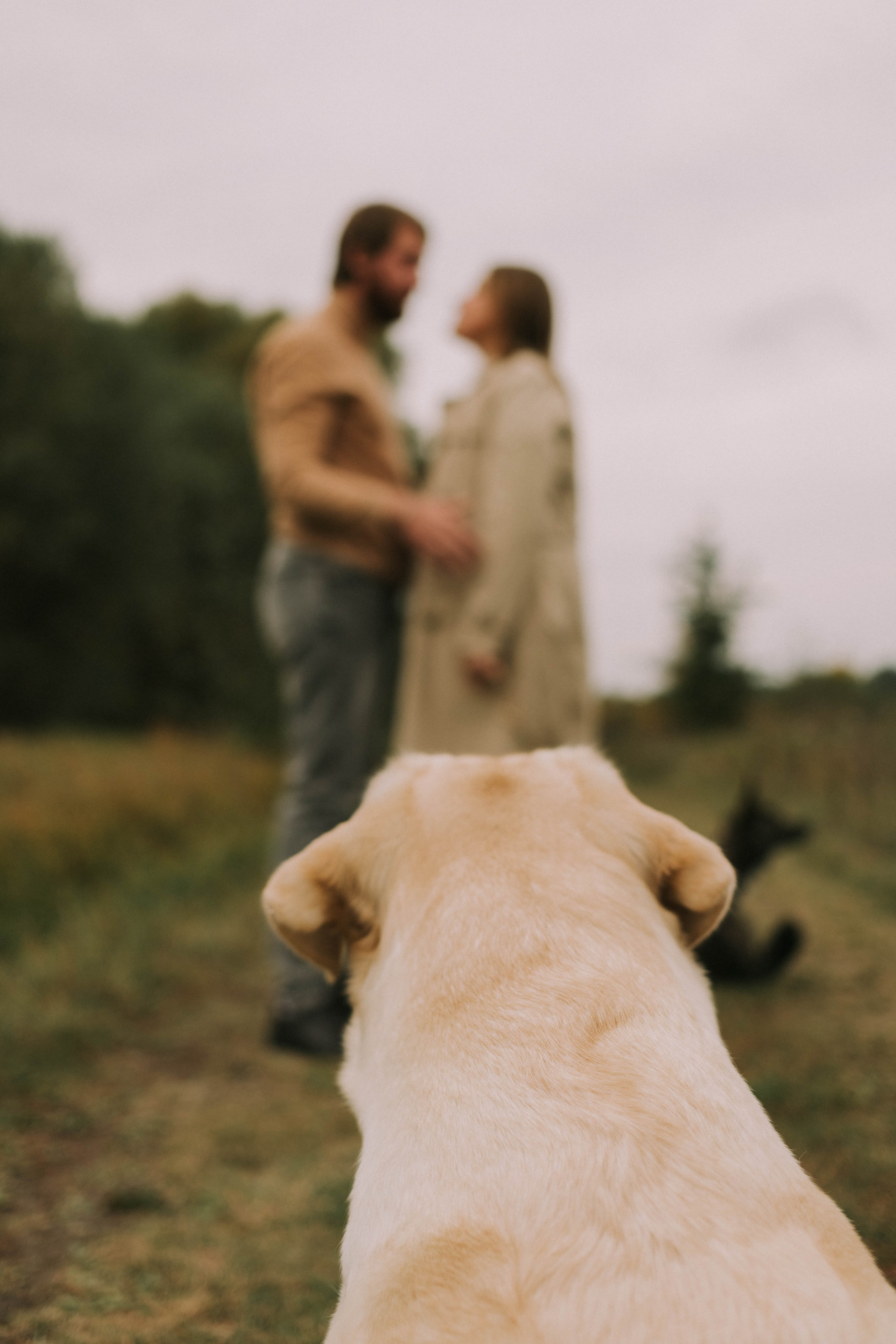 Портреты и Love Story. Портретный и свадебный фотограф в Воронеже Светлана Кунахова