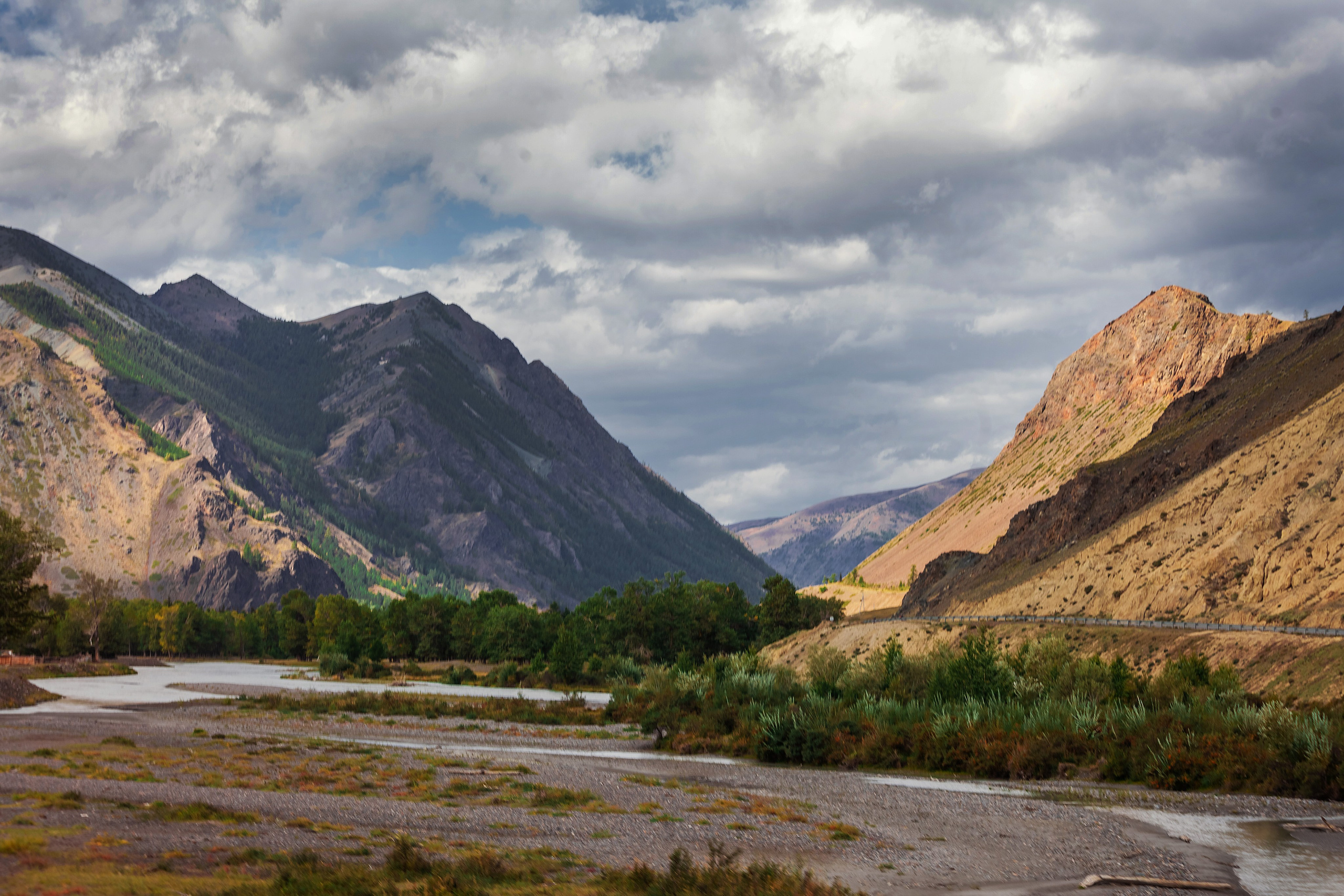 АЛТАЙ 2024 / ALTAI 2024. Главная