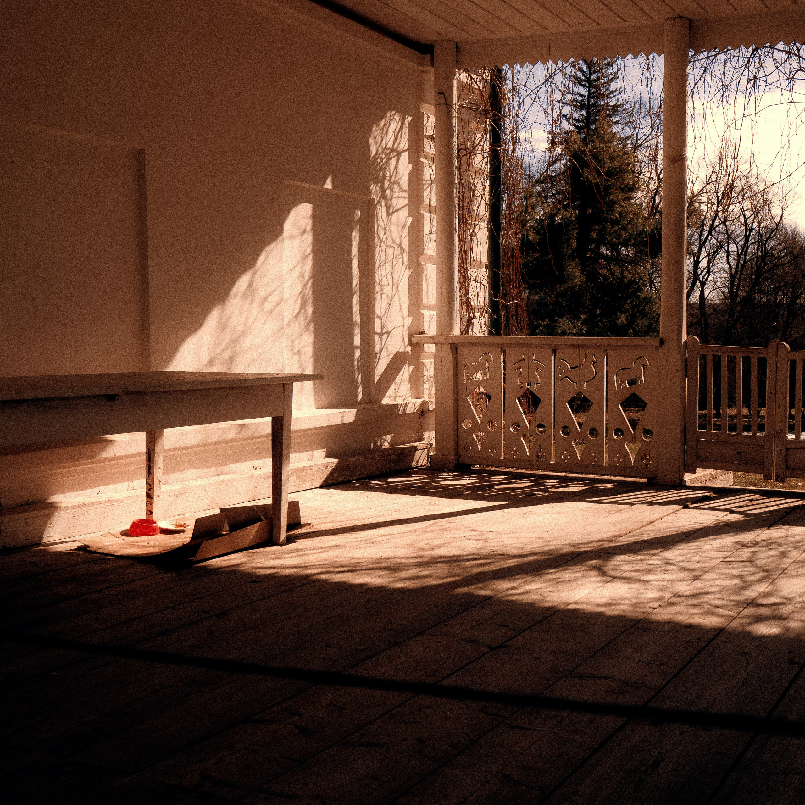 Тула '25. Фёдор Малюгин. Ваш бади в визуале