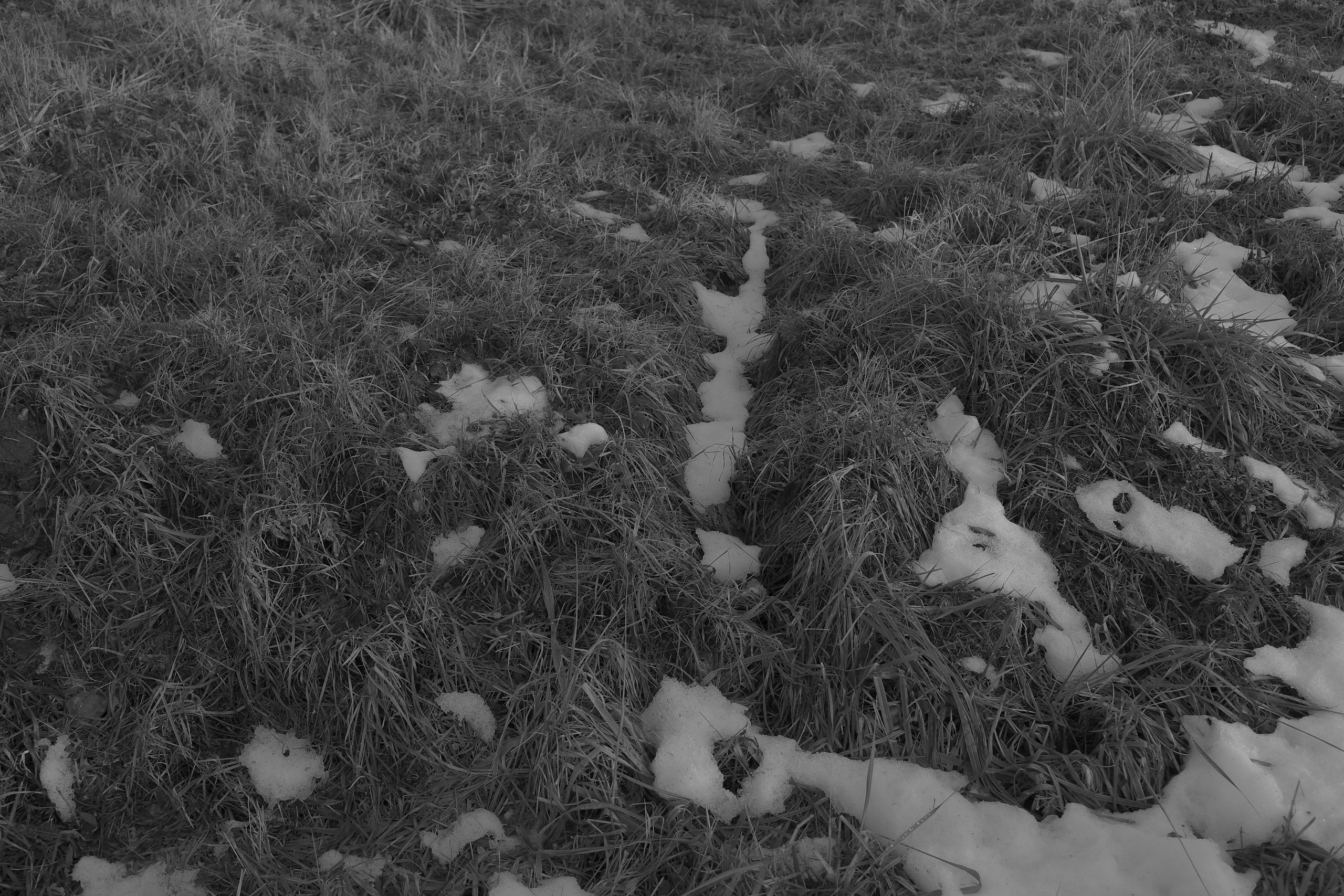 — 2025. Фотограф Злата Спицына