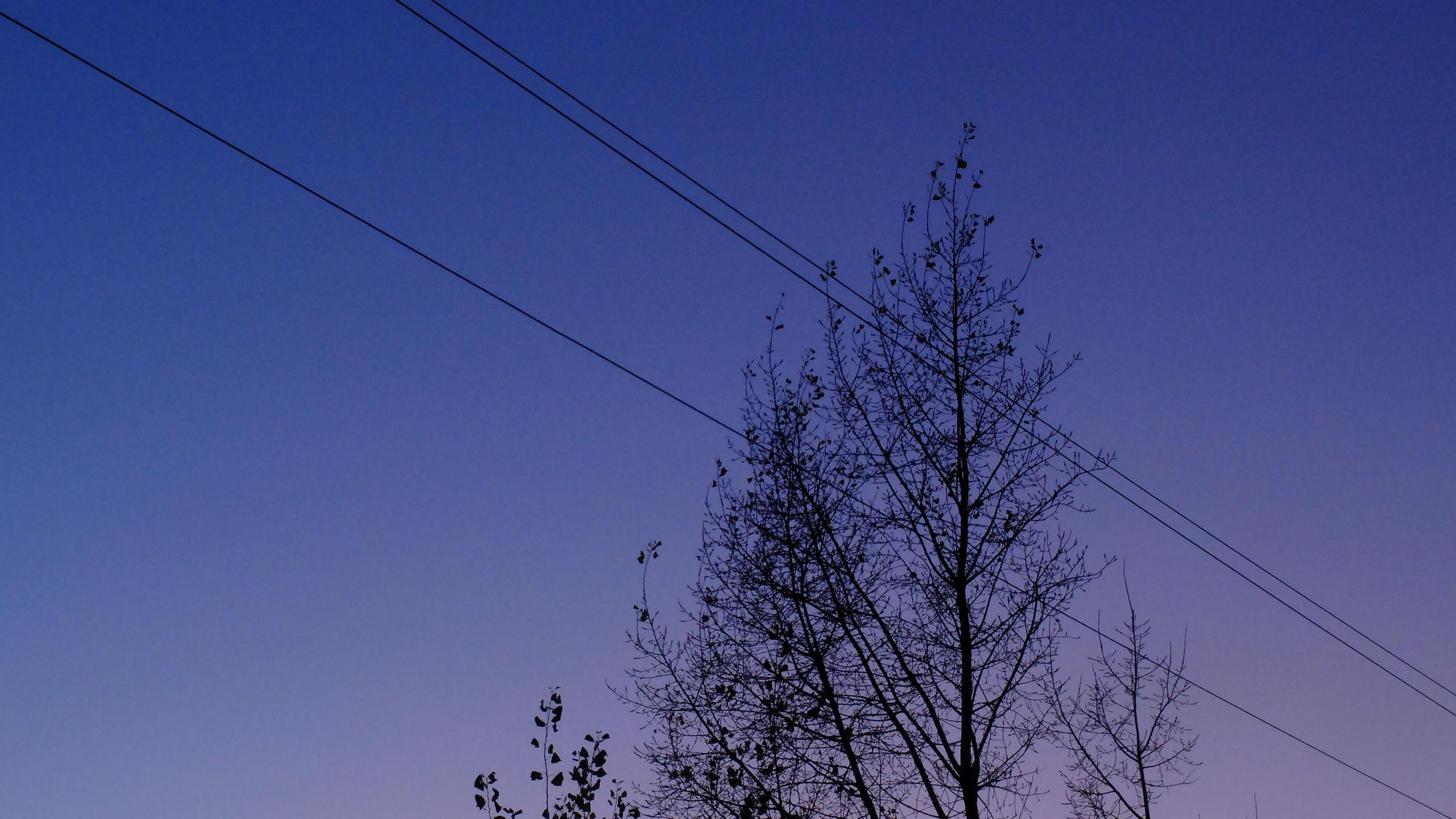 Этот прекрасный мир