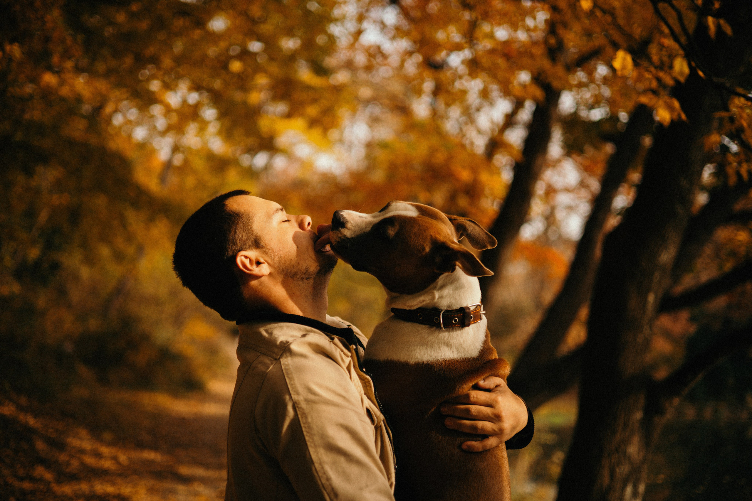 Лаффи и ее семья. Фотограф — анималист Владивосток, Алина