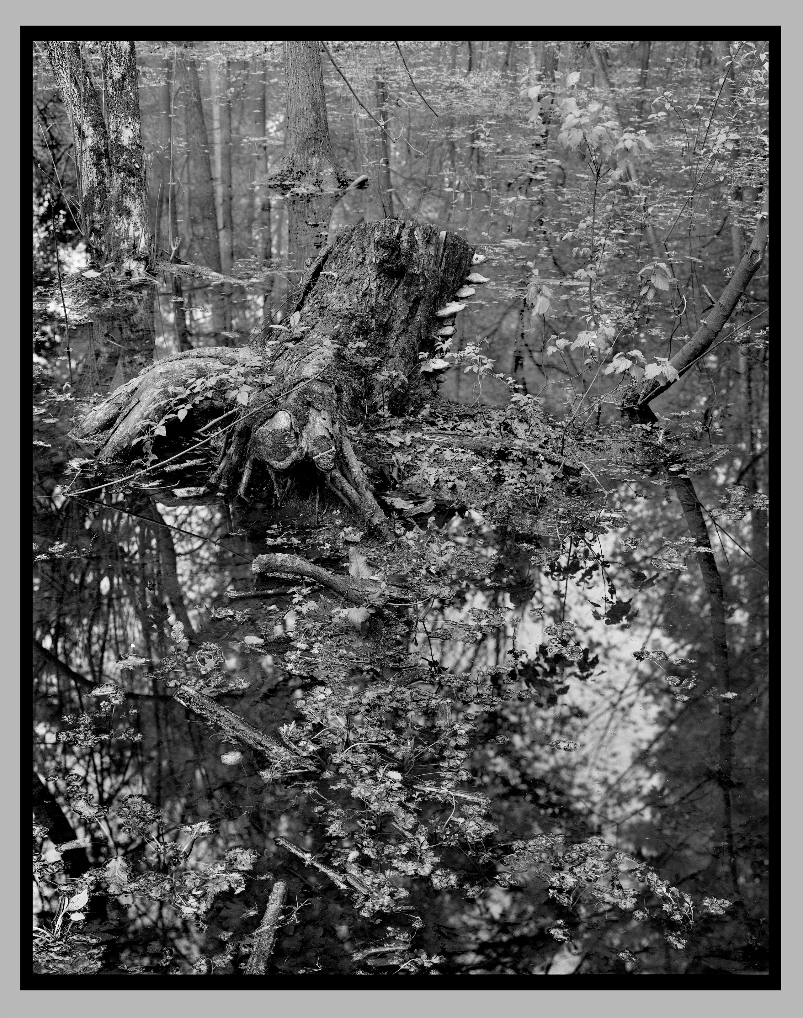 Author’s photo works in the ambrotype technique! Analog photography. Sergey Kondriuk art-photographer | artist