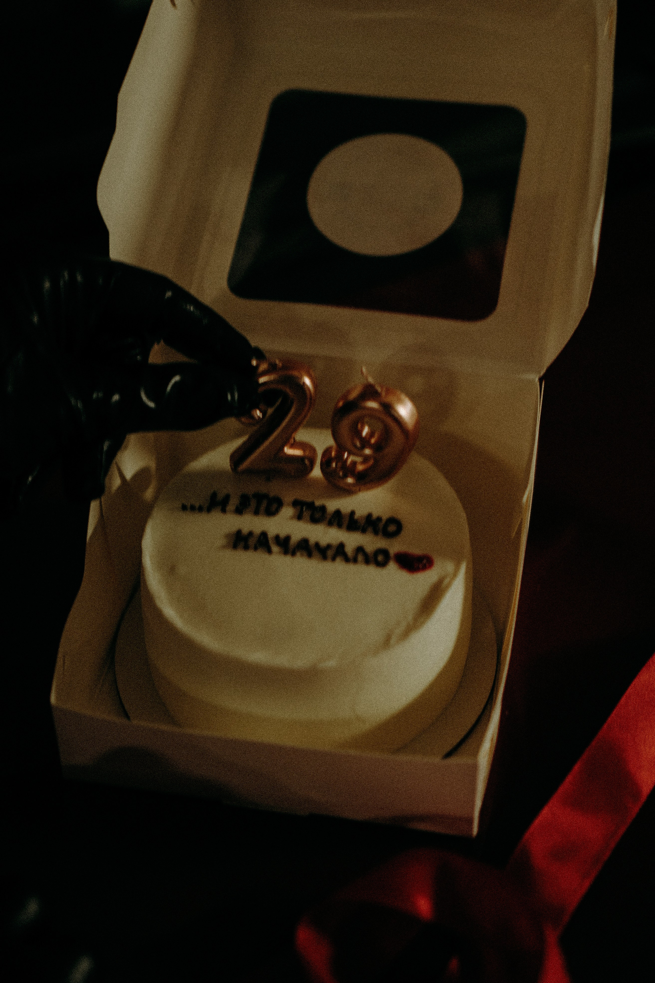 НА ПАРКОВКЕ. Профессиональный фотограф, Санкт-Петербург — Виктория Богомолова