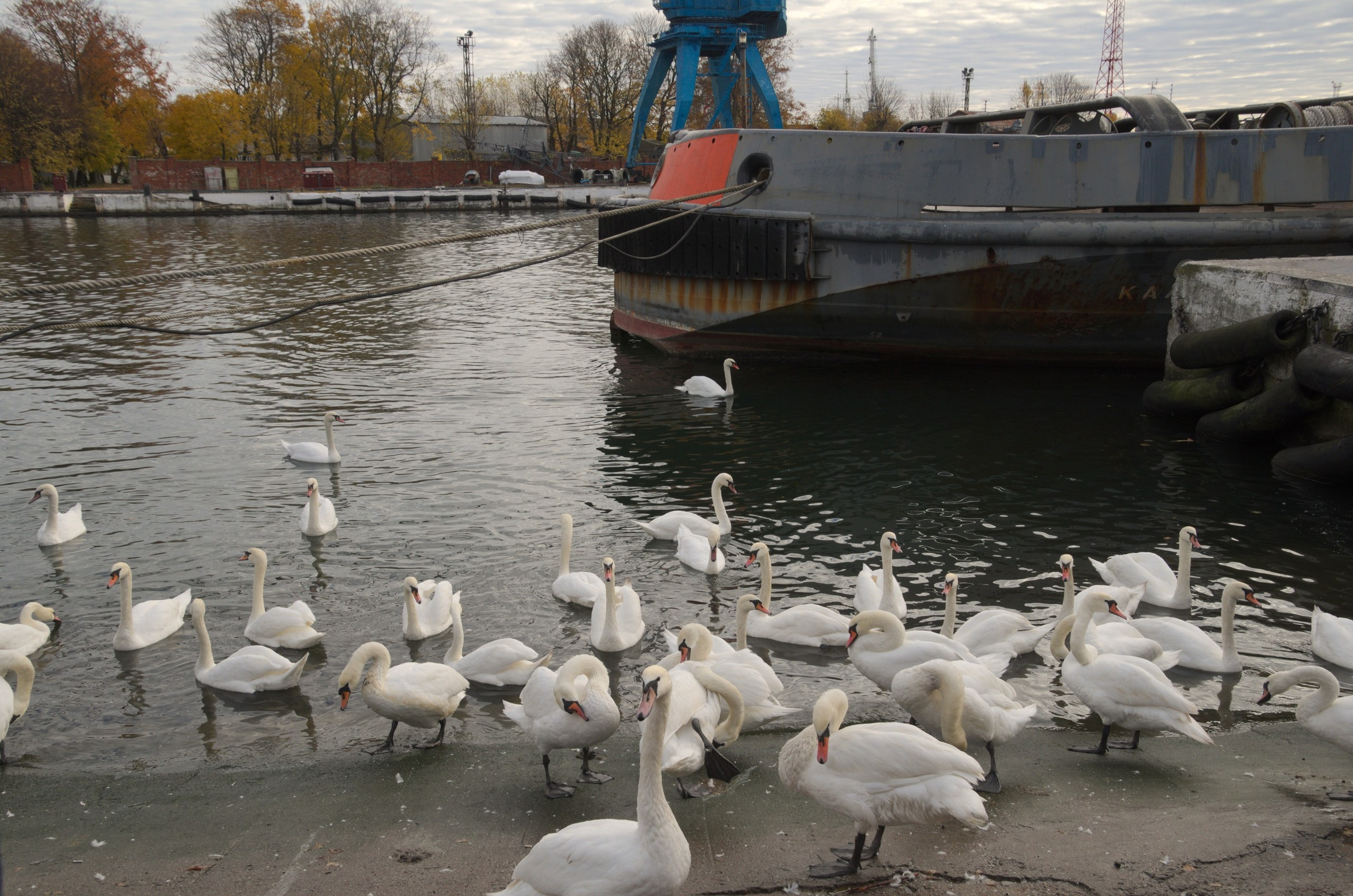 Калининград | 03-05.11.2018. Галерея Фантим