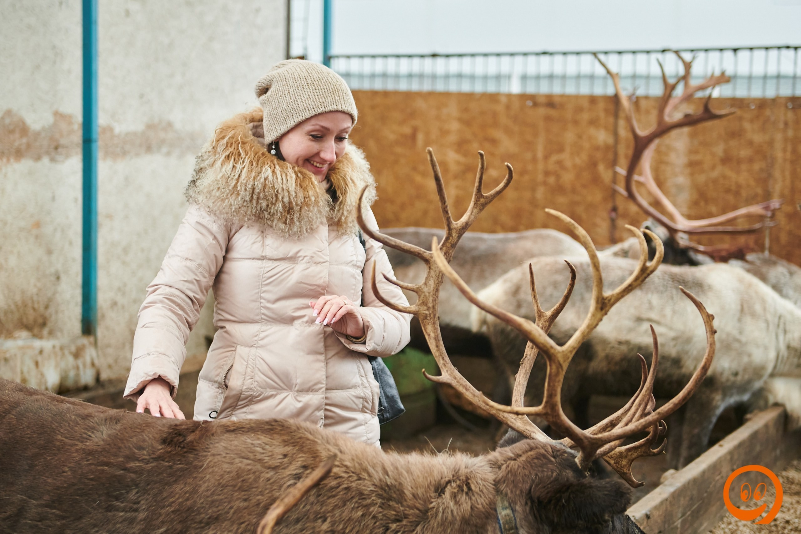 В гости к северным оленям | 18.01.2025. Галерея Фантим