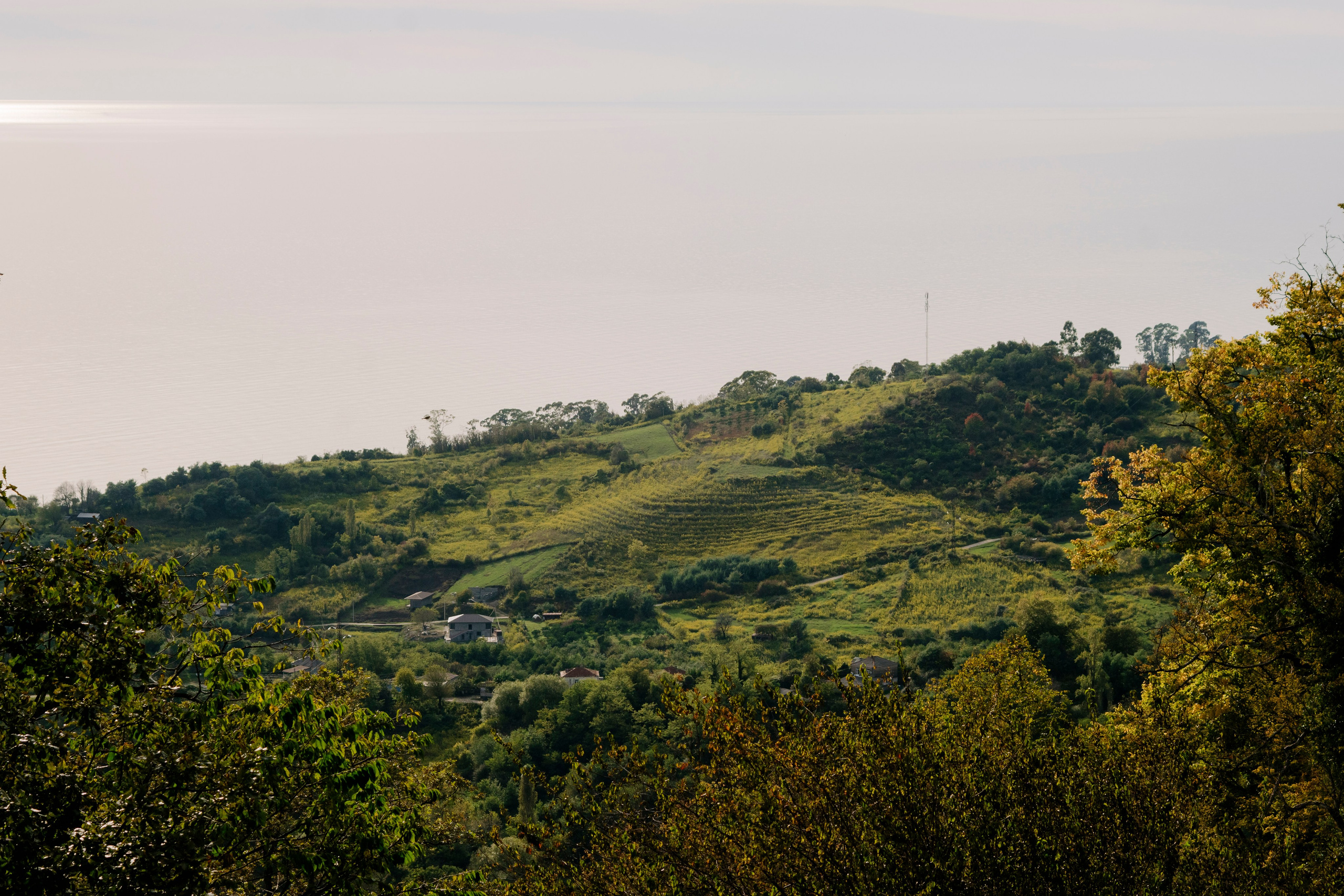 Абхазия. Iraogo