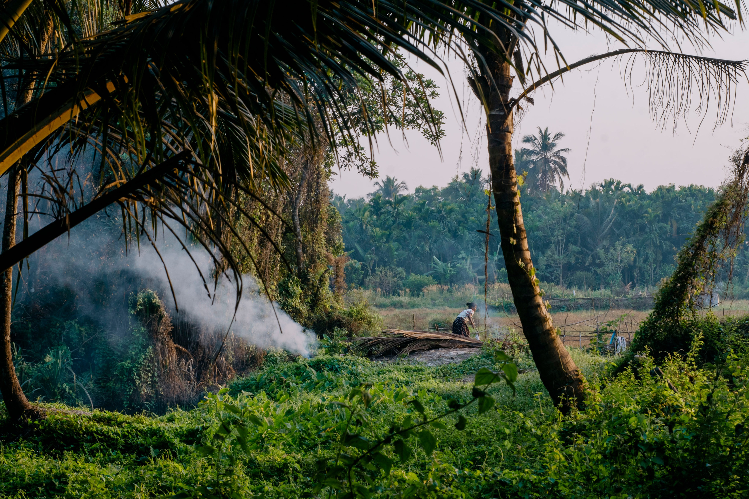 Гоа. индия. Iraogo