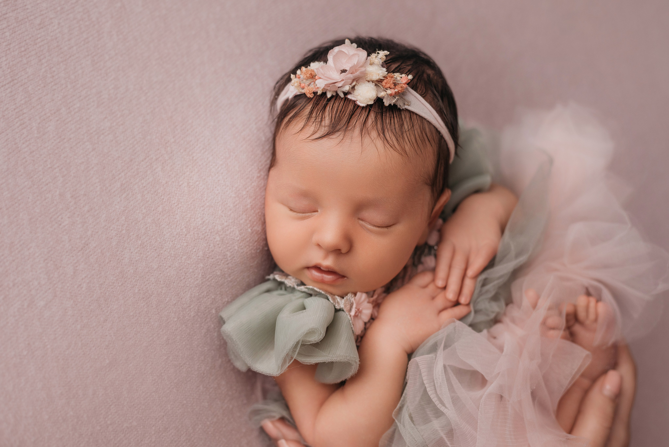 Алена. Фотограф новорожденных Белгород