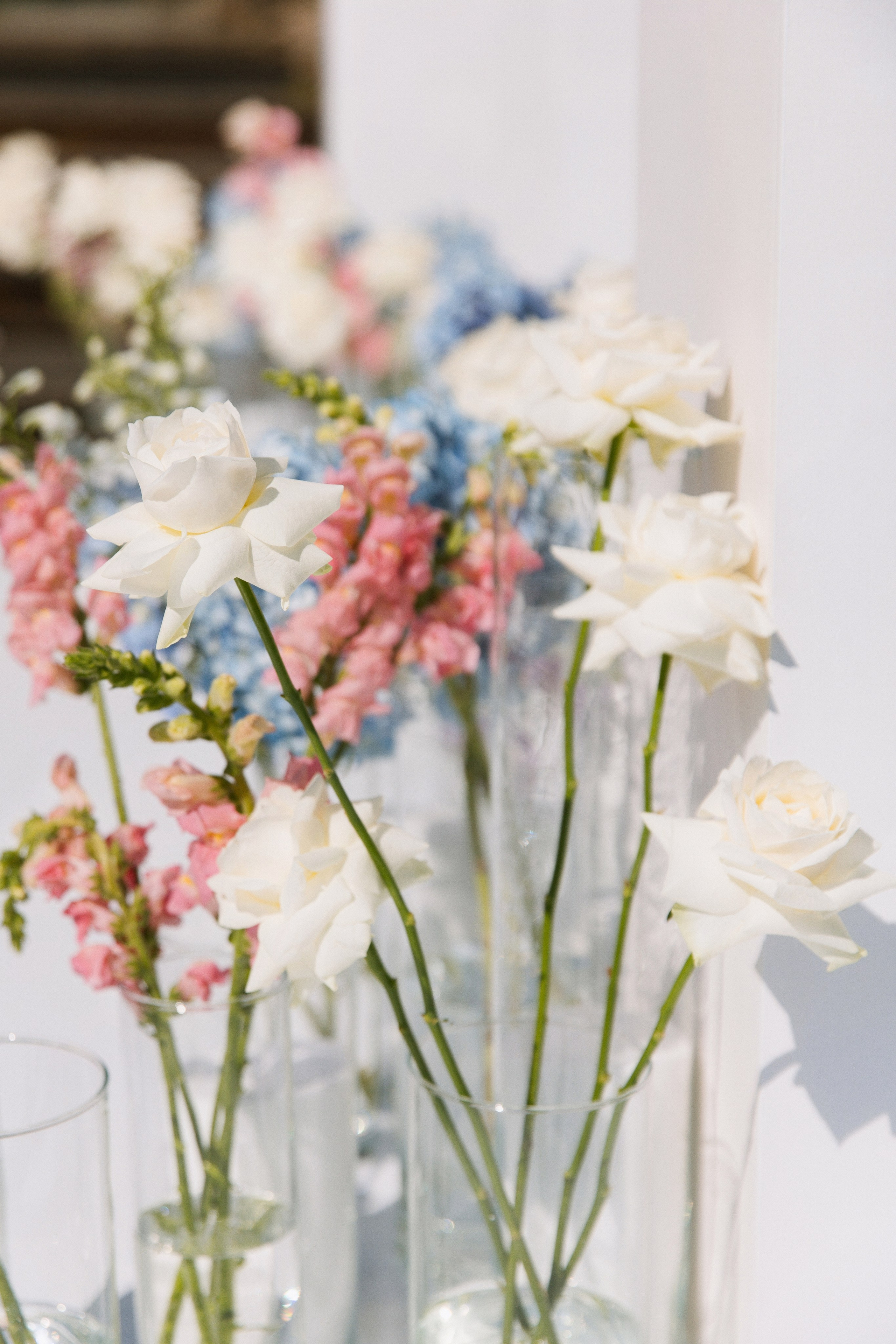 V ❤ A. Syrovatkina_Photographer.ru