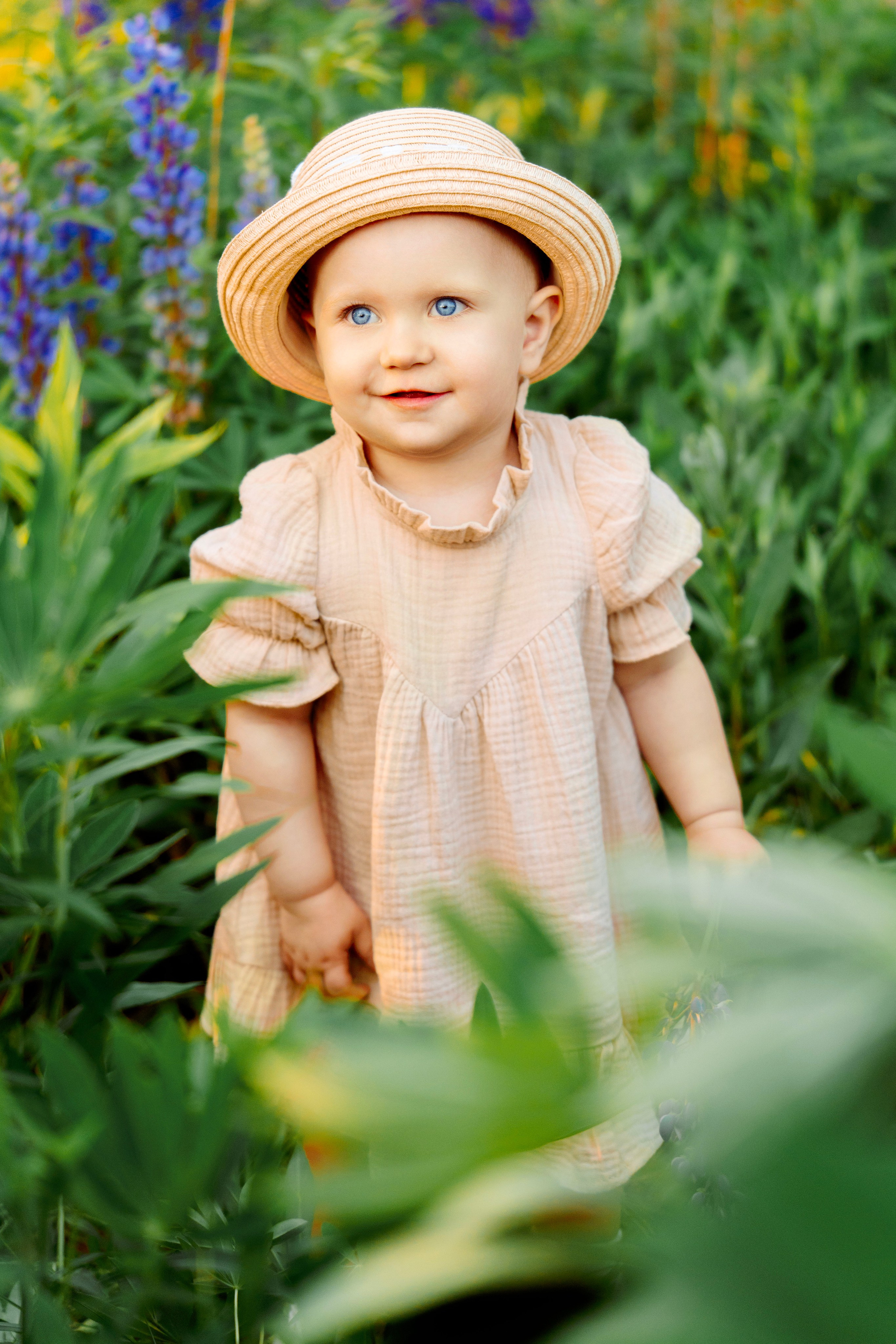 Люпины. Фотограф Юлия Попова