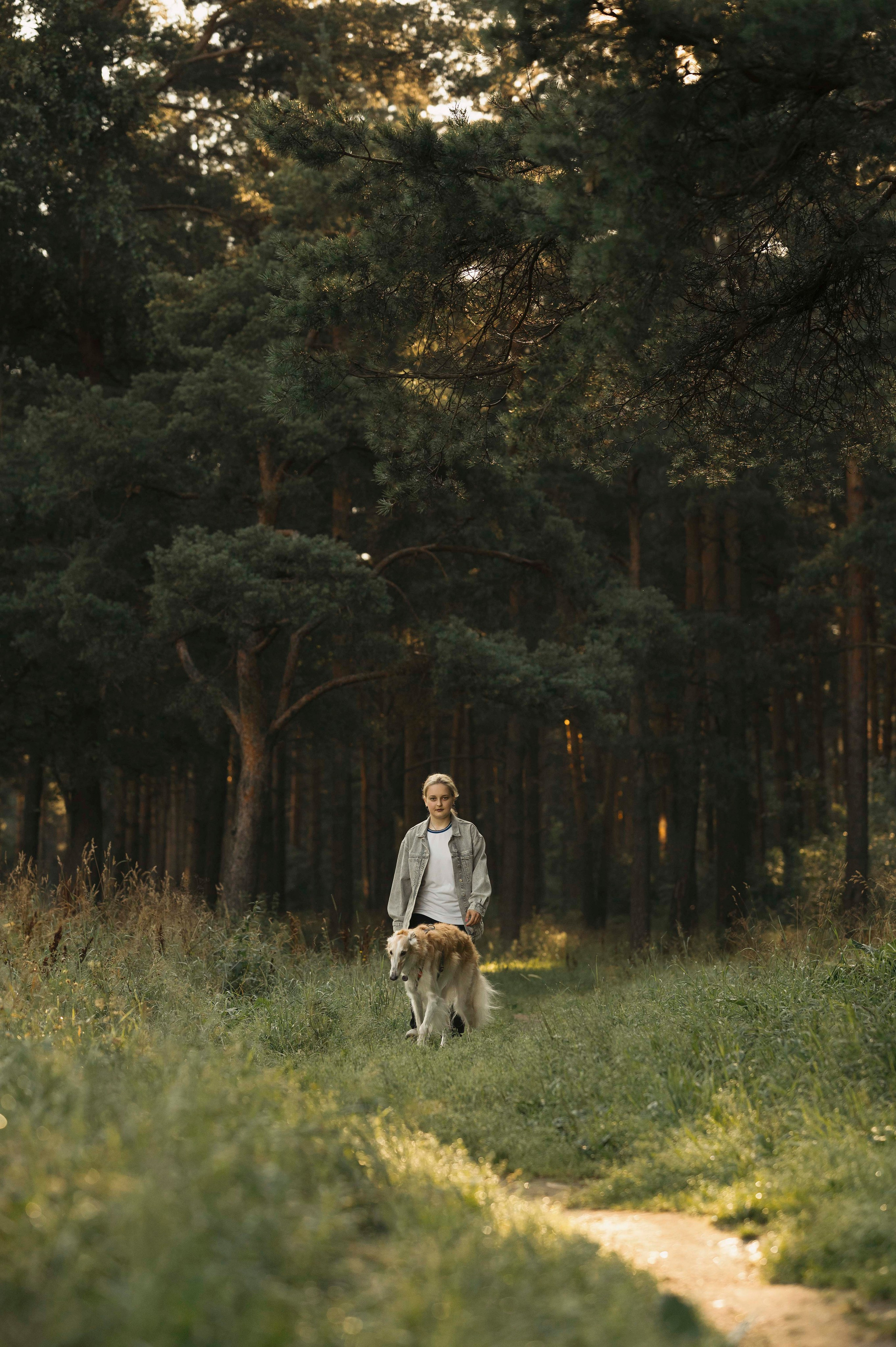 Тайга. Фотограф- анималист Александра Матвеева